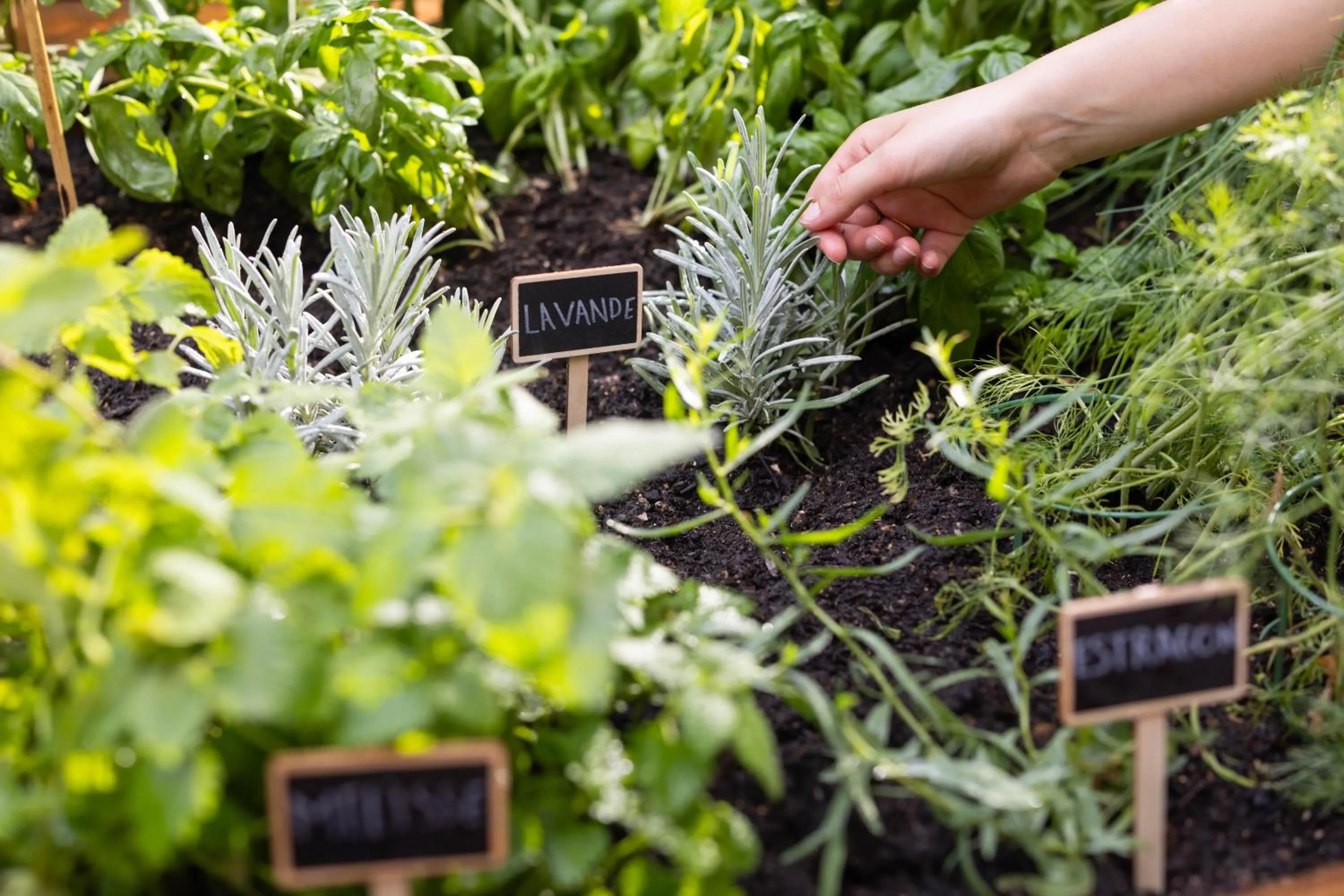 Day in Hotel Royalmar - Nouveau propriétaire
