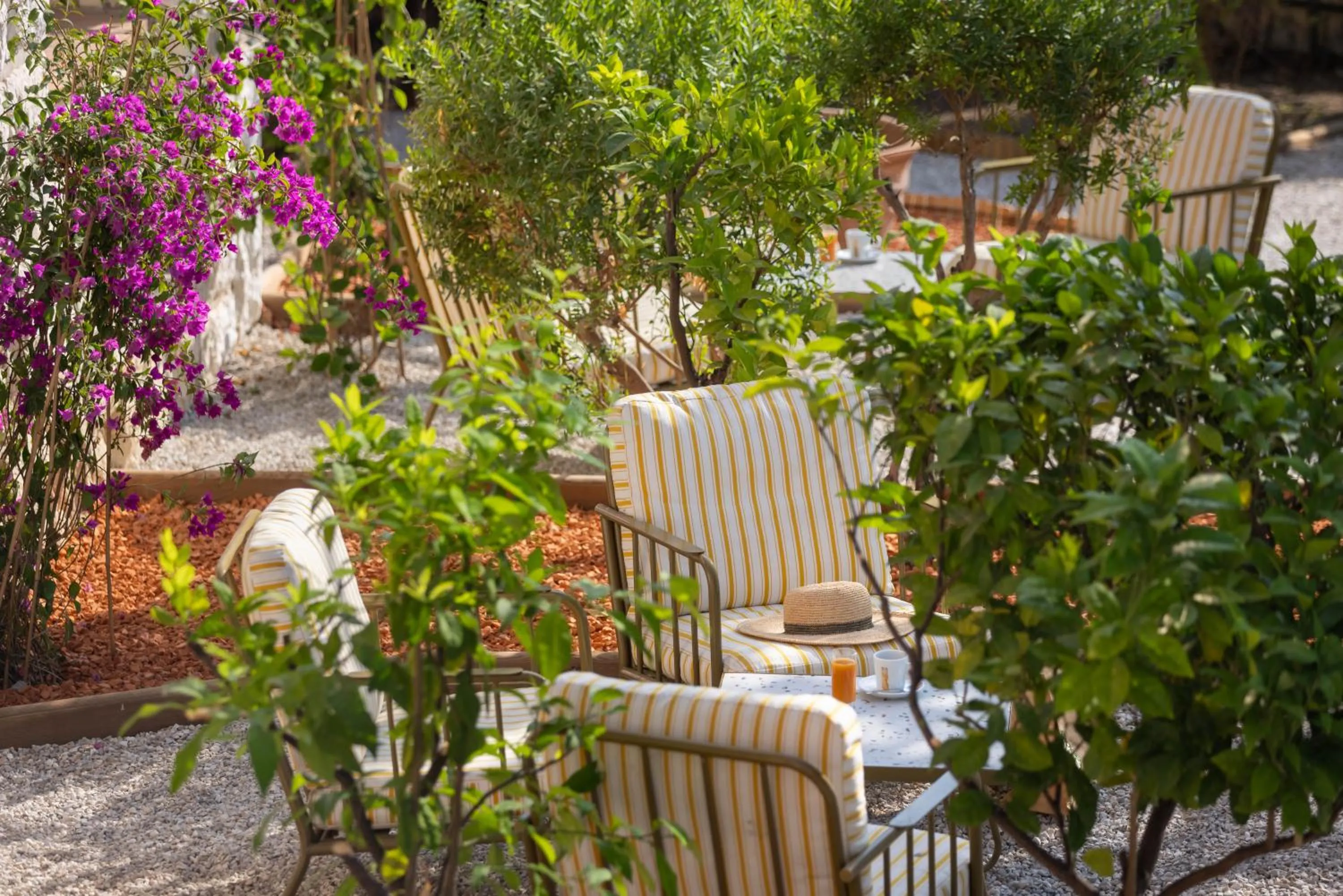 Day in Hotel Royalmar - Nouveau propriétaire