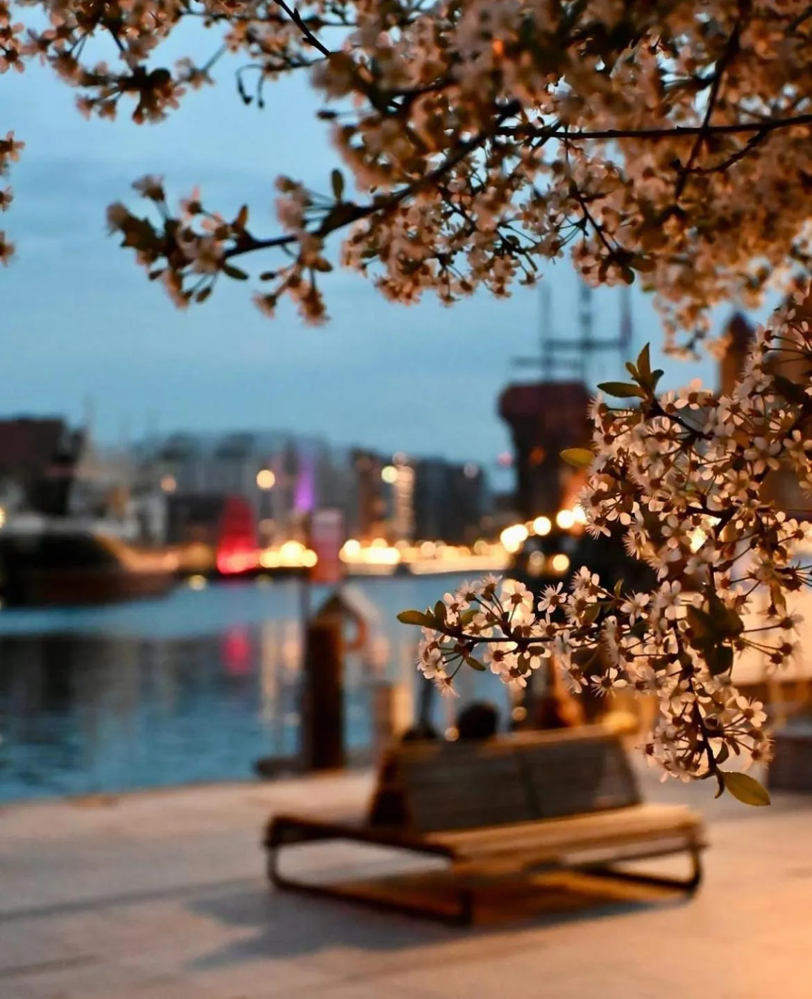 Communal lounge/ TV room in Baltic Gdańsk OLD TOWN by St Mary s Church