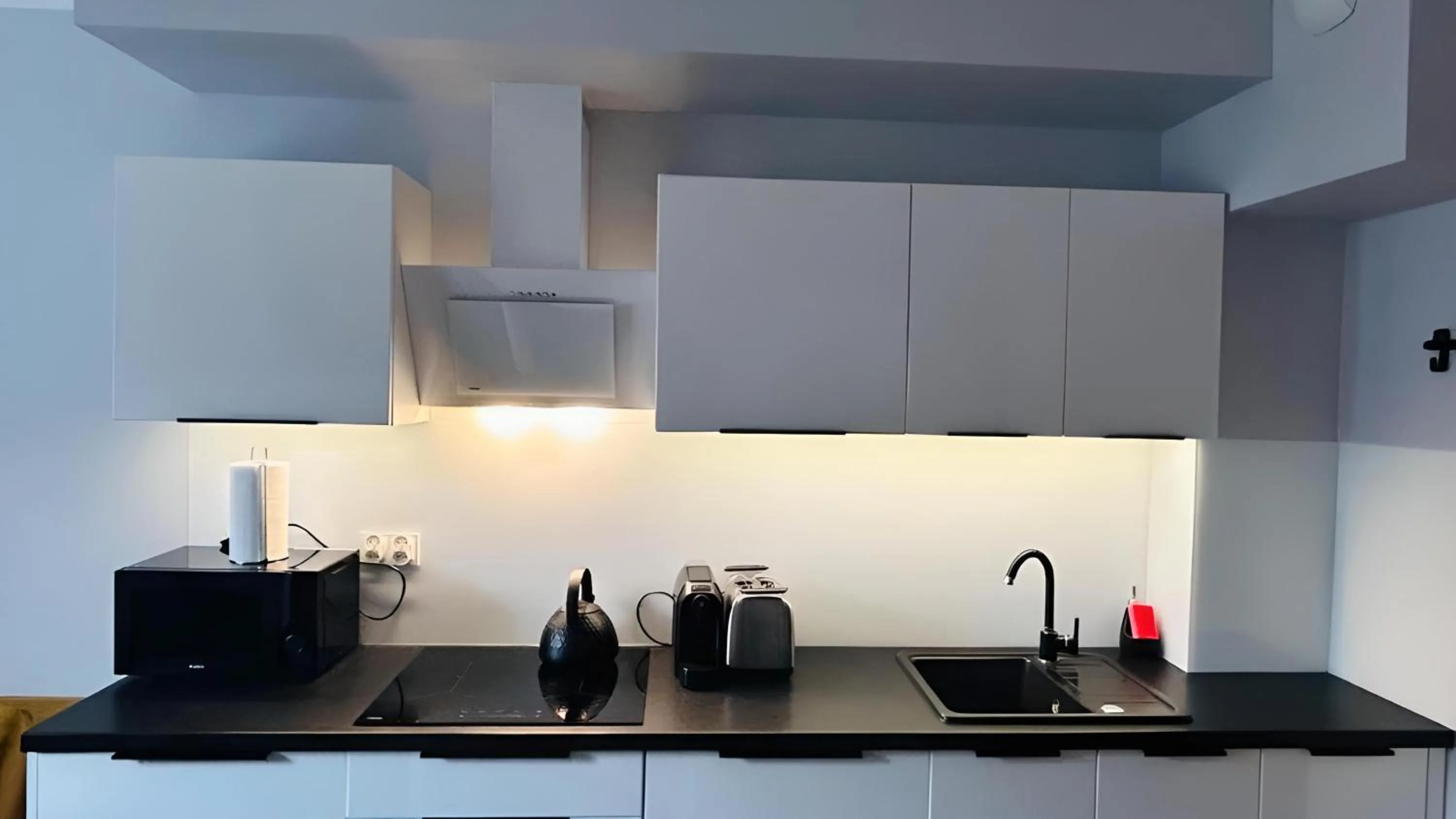 Ski School in Baltic Gdańsk OLD TOWN by St Mary s Church