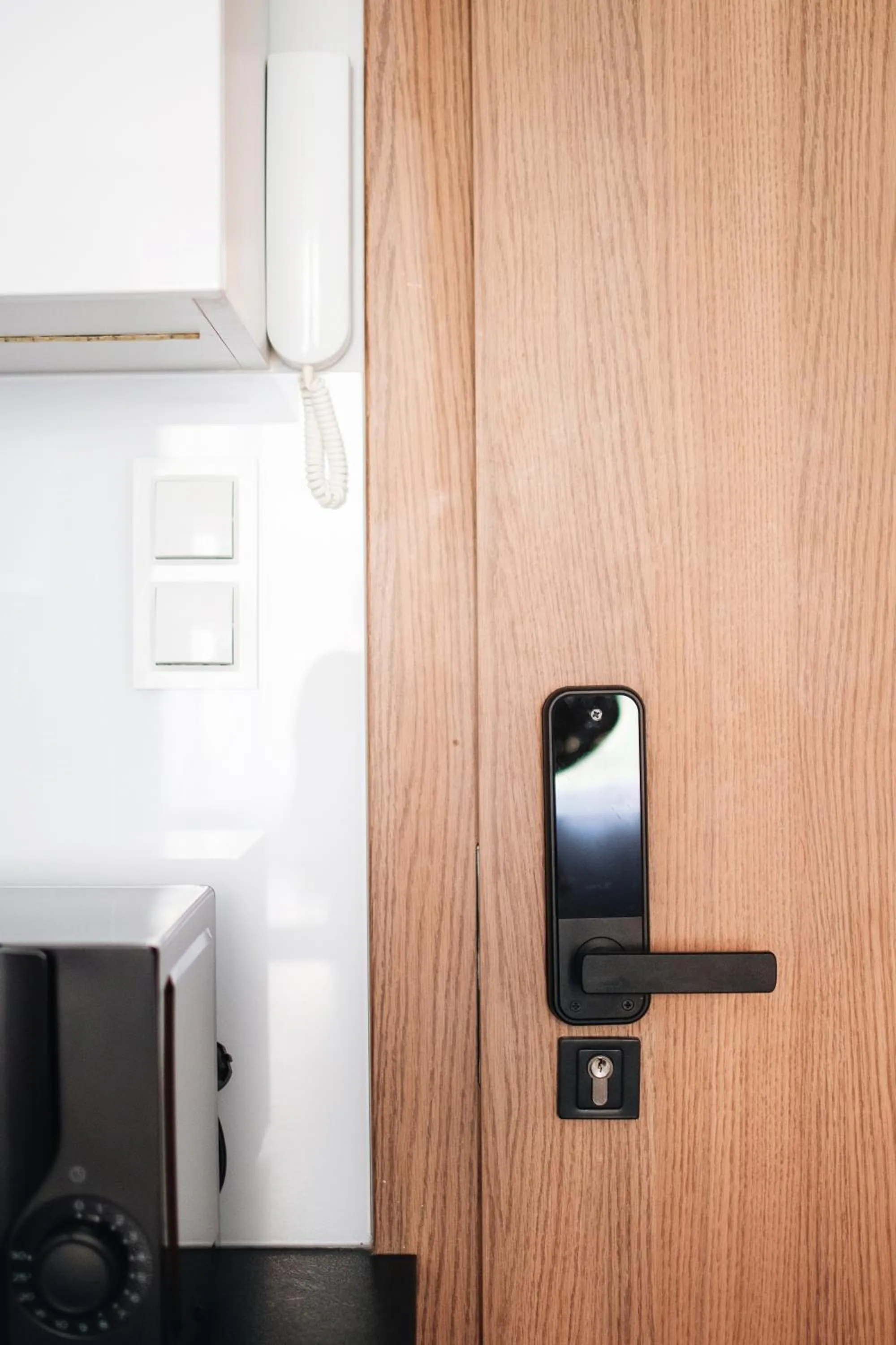 Animals in Baltic Gdańsk OLD TOWN by St Mary s Church