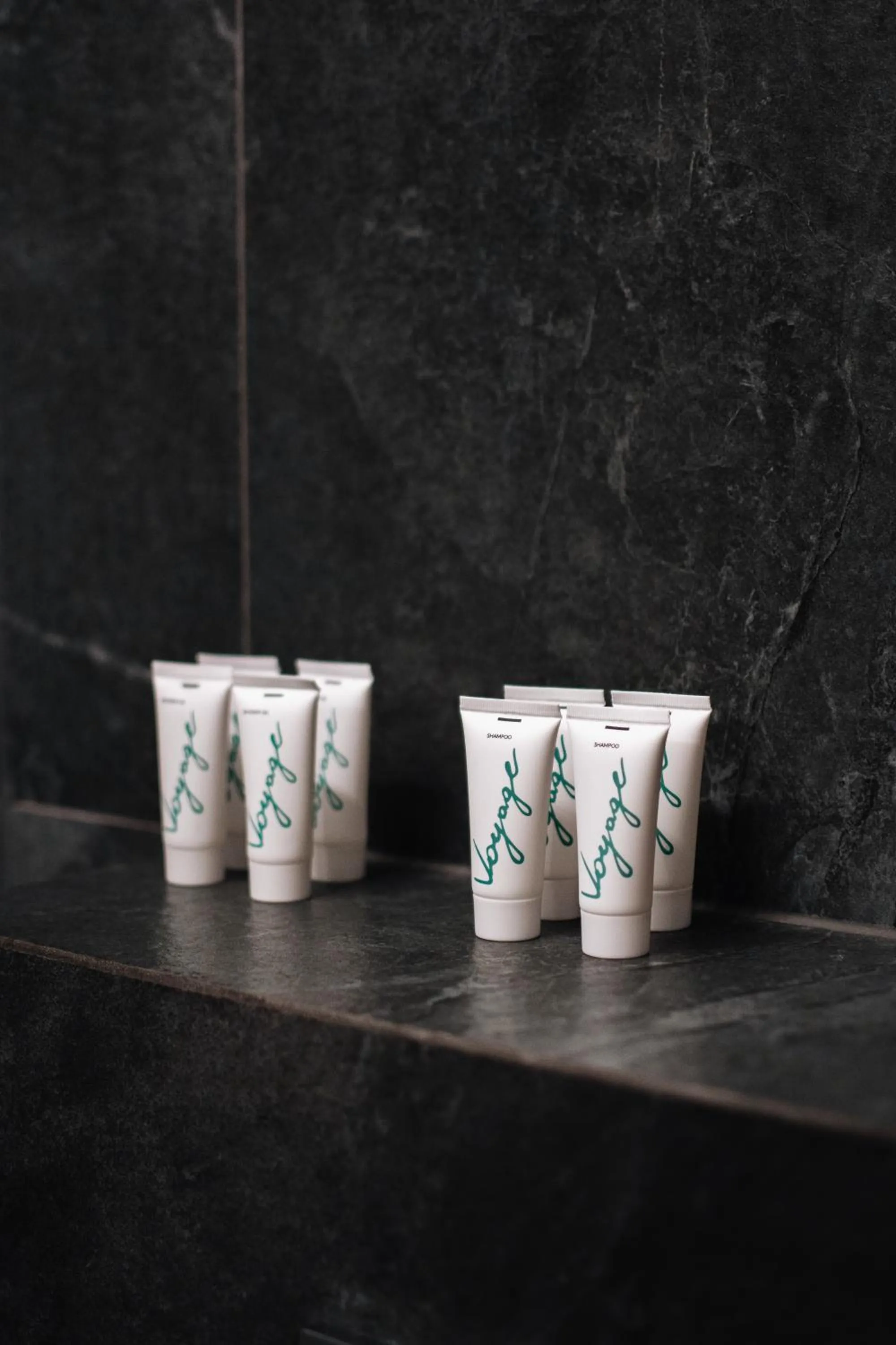 Animals in Baltic Gdańsk OLD TOWN by St Mary s Church