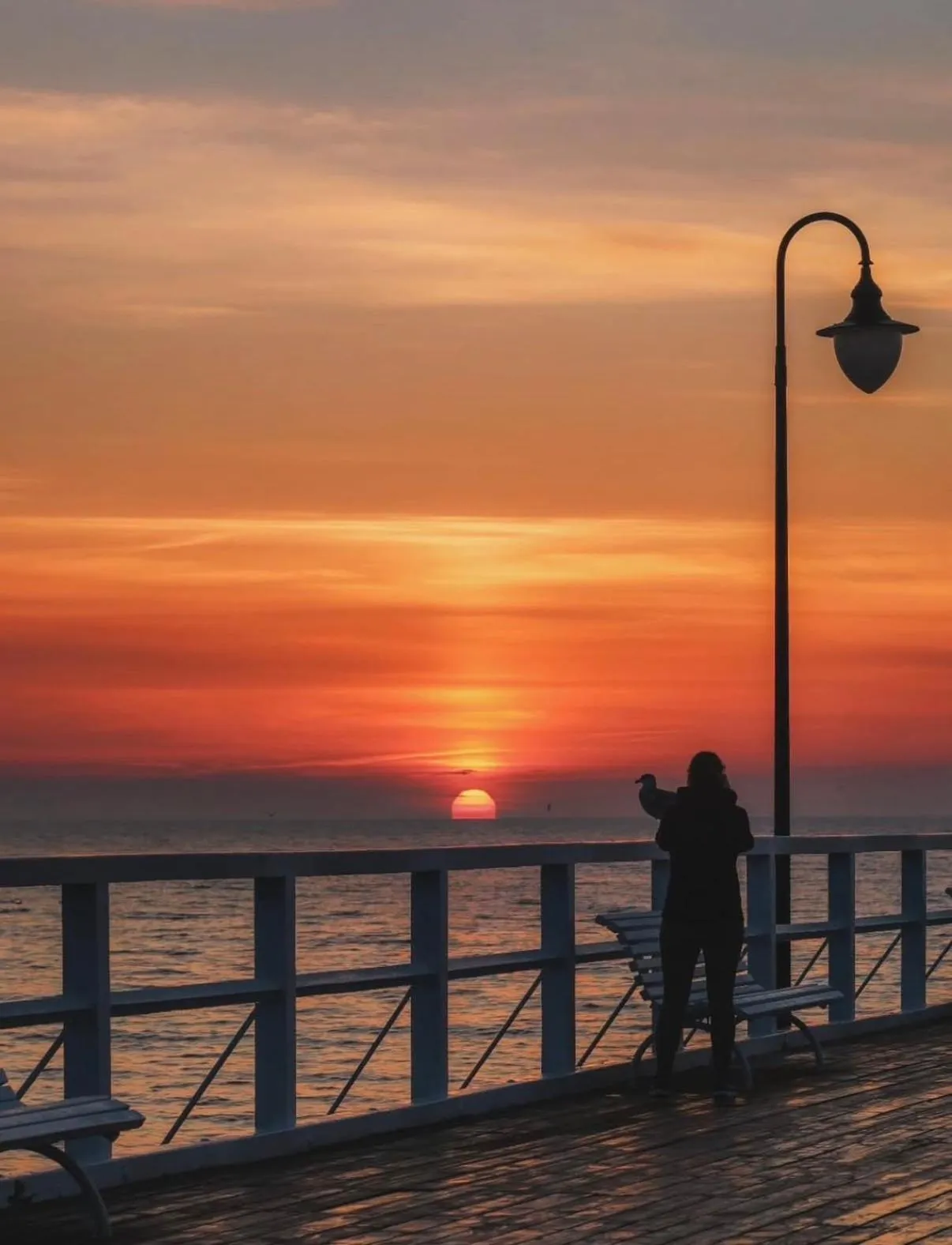 Spring in Baltic Gdańsk Old Town by St Mary's Church