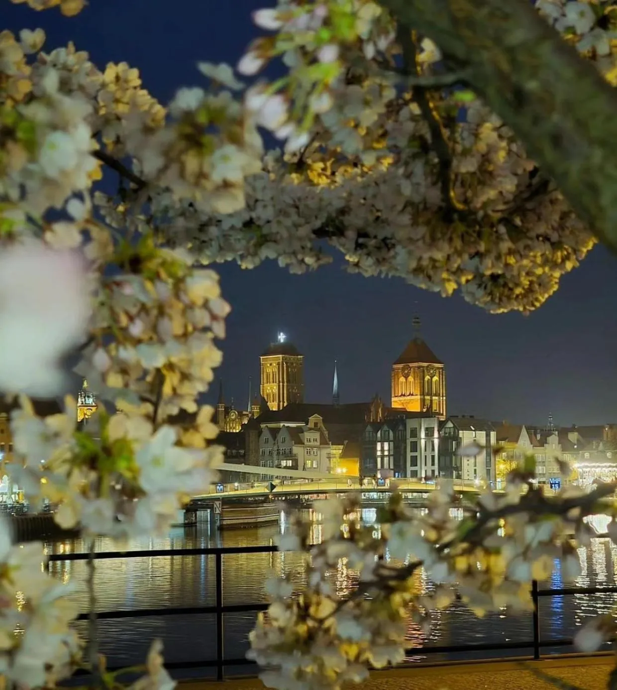 Night in Baltic Gdańsk OLD TOWN by St Mary s Church