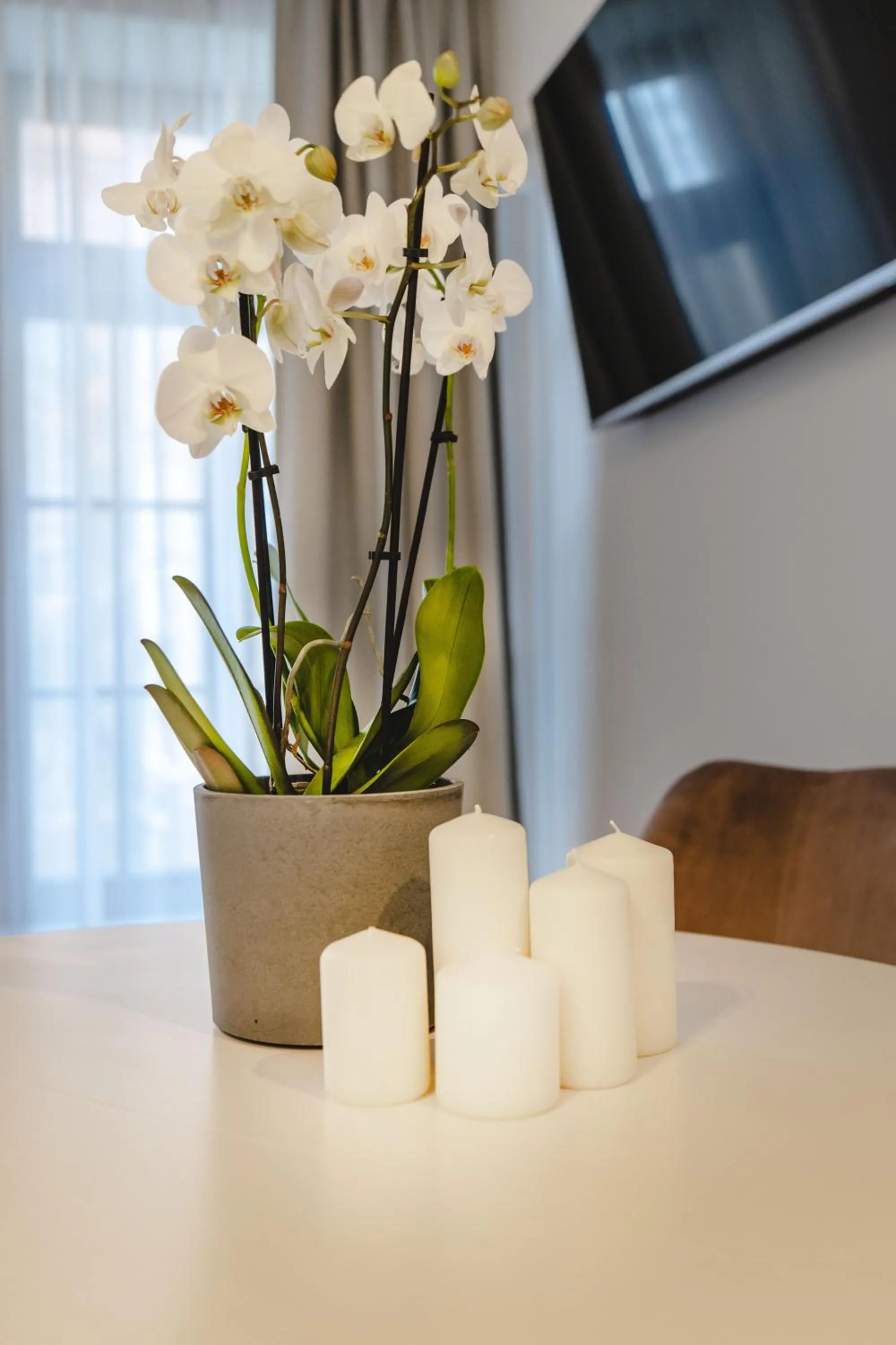 Spring in Baltic Gdańsk Old Town by St Mary's Church