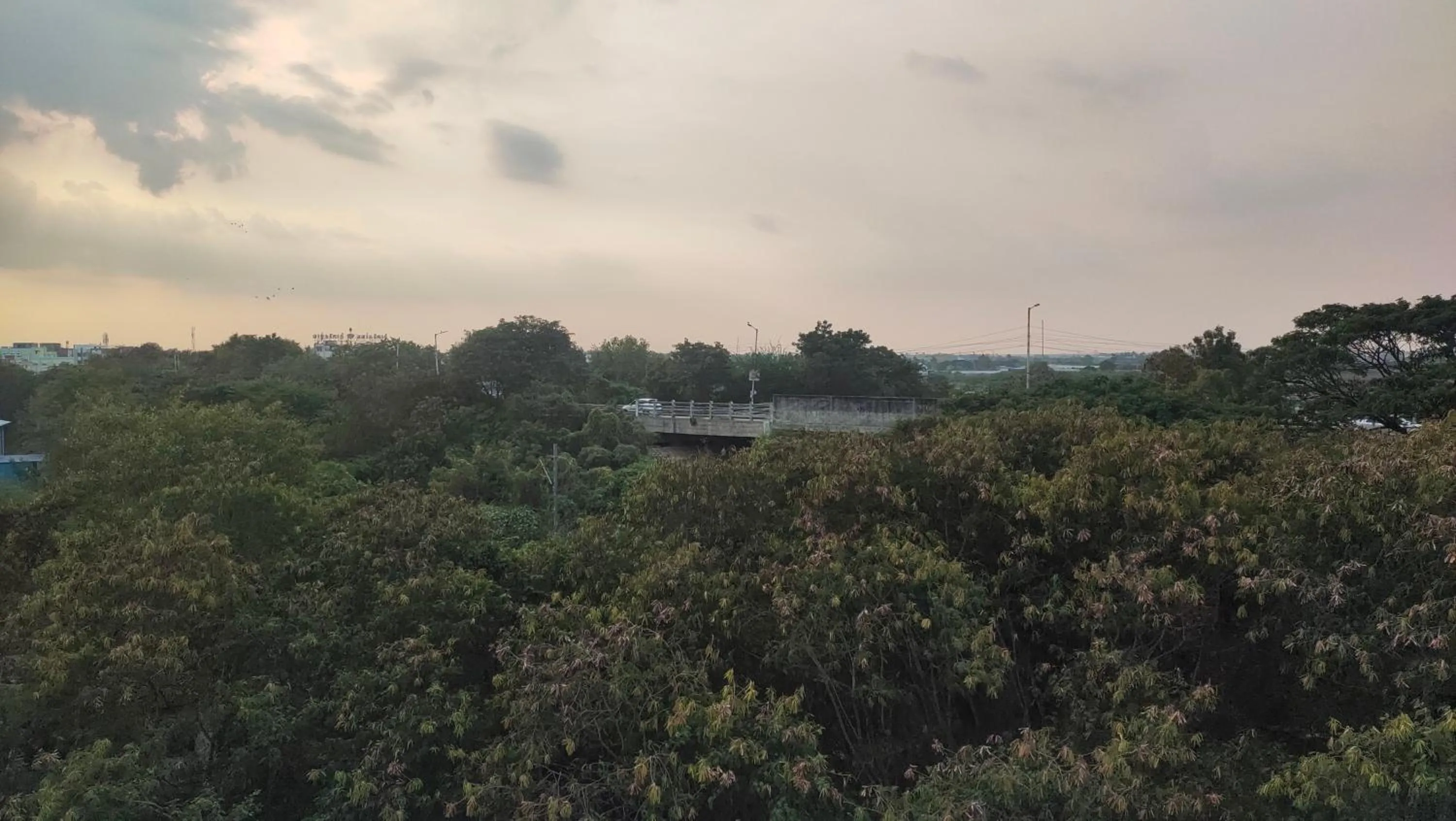 View (from property/room) in Hotel Rhythm Grand Suite