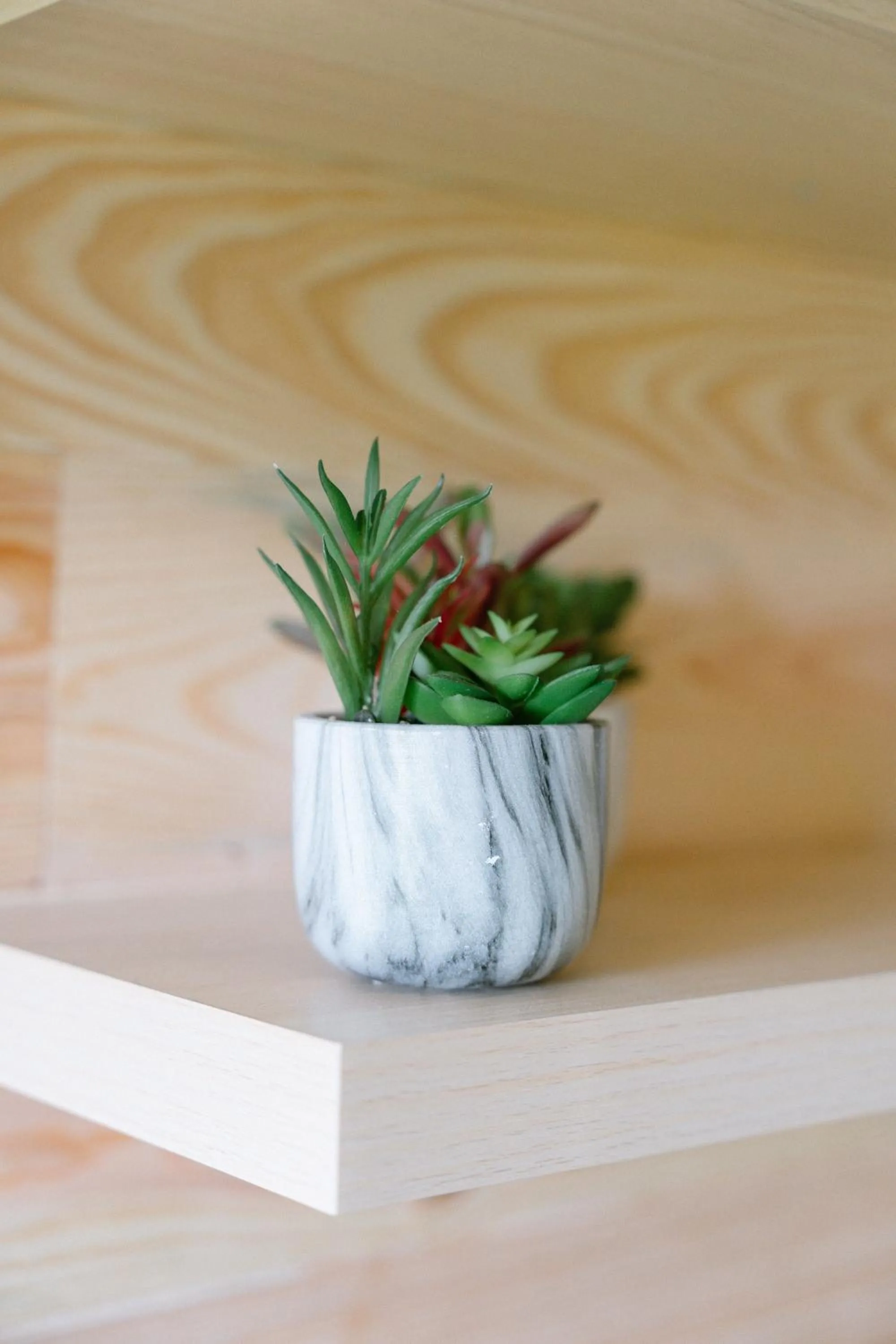 Decorative detail in Les Glycines de Monchy- Chambres d'hôtes