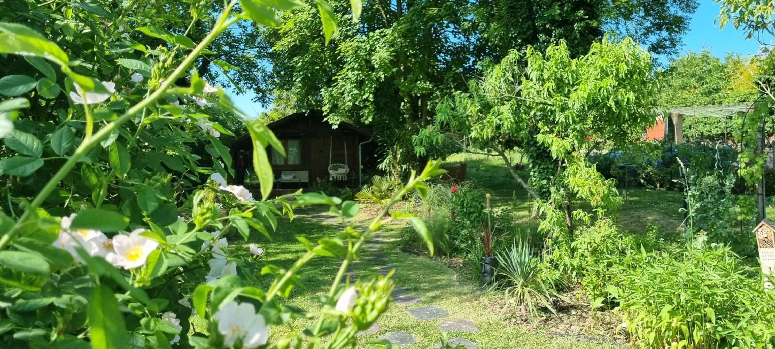 Spring in Les Glycines de Monchy- Chambres d'hôtes