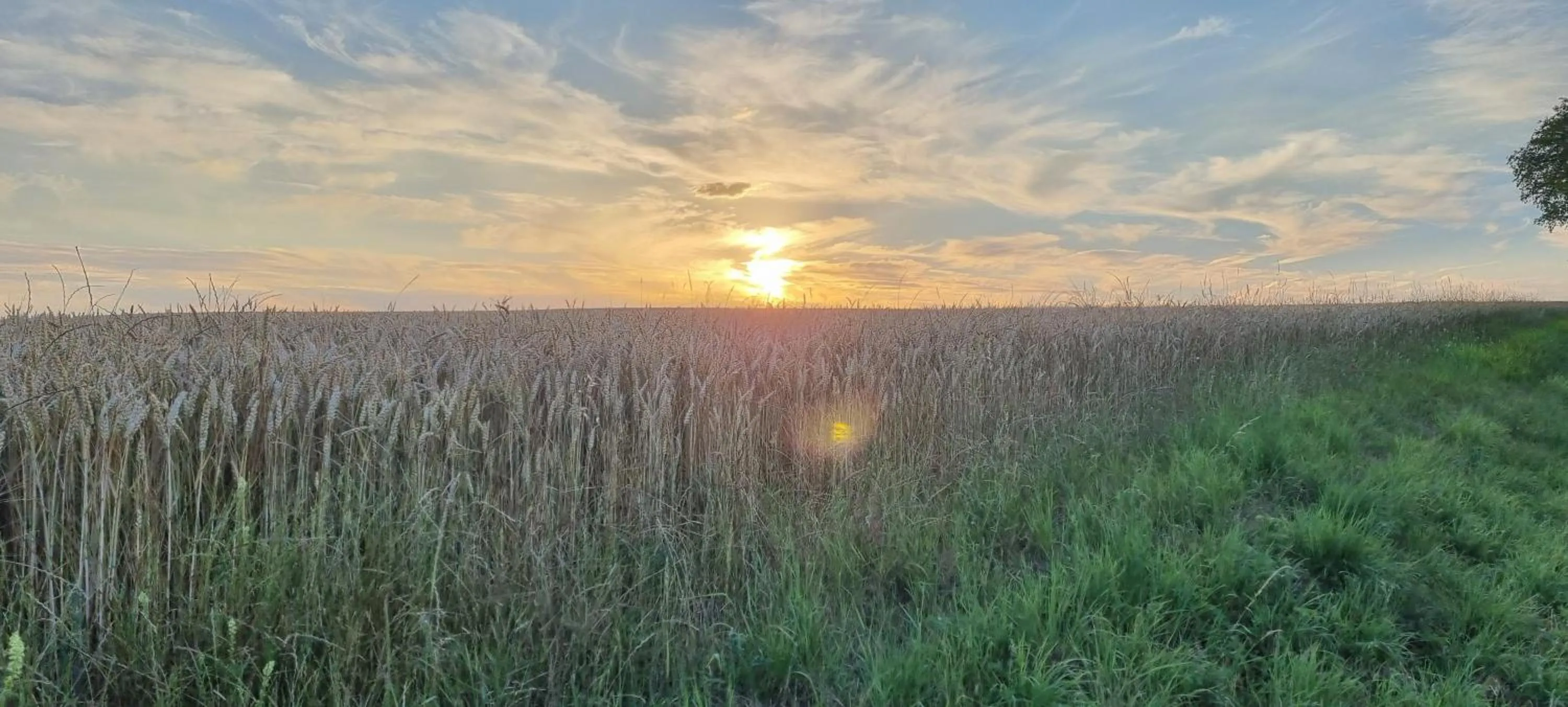 Day in Les Glycines de Monchy- Chambres d'hôtes