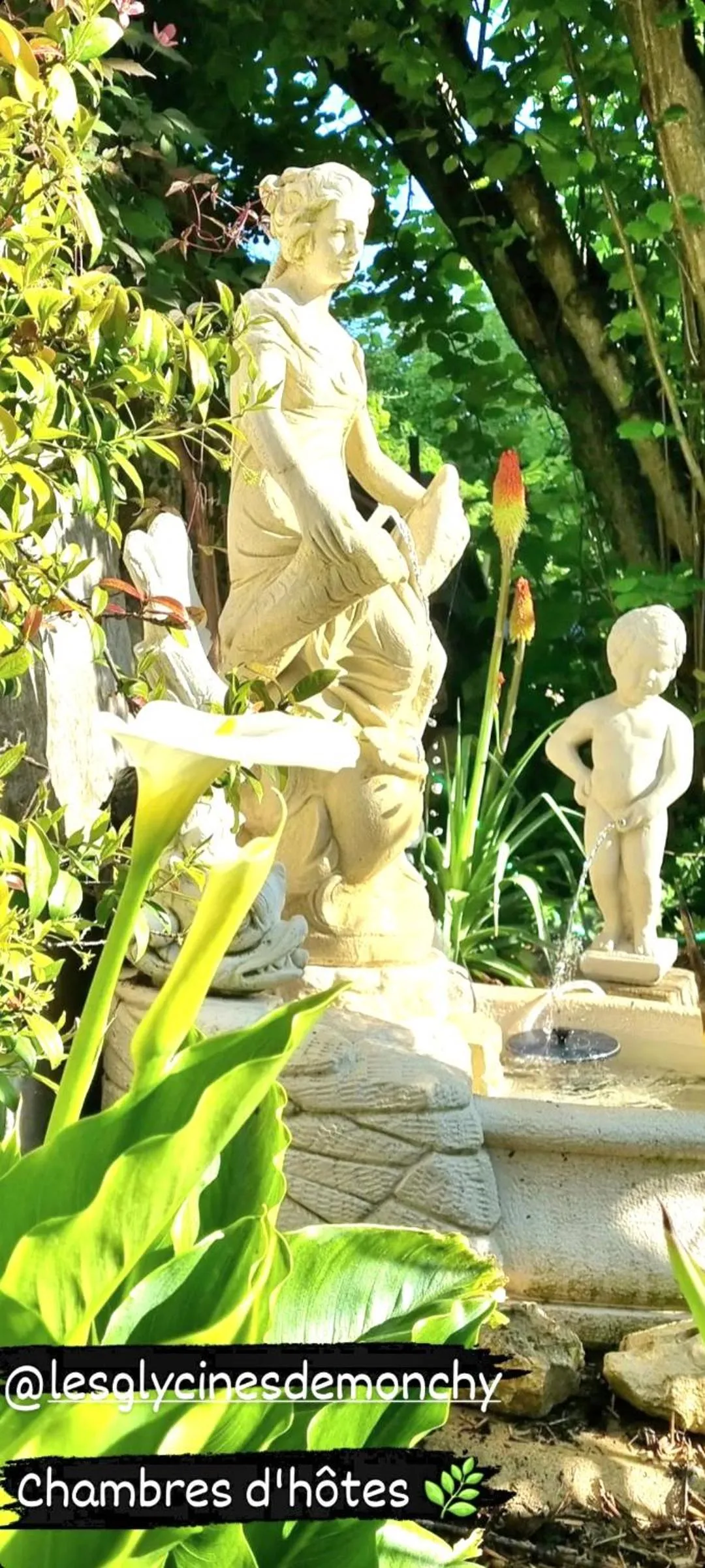 Garden view in Les Glycines de Monchy- Chambres d'hôtes