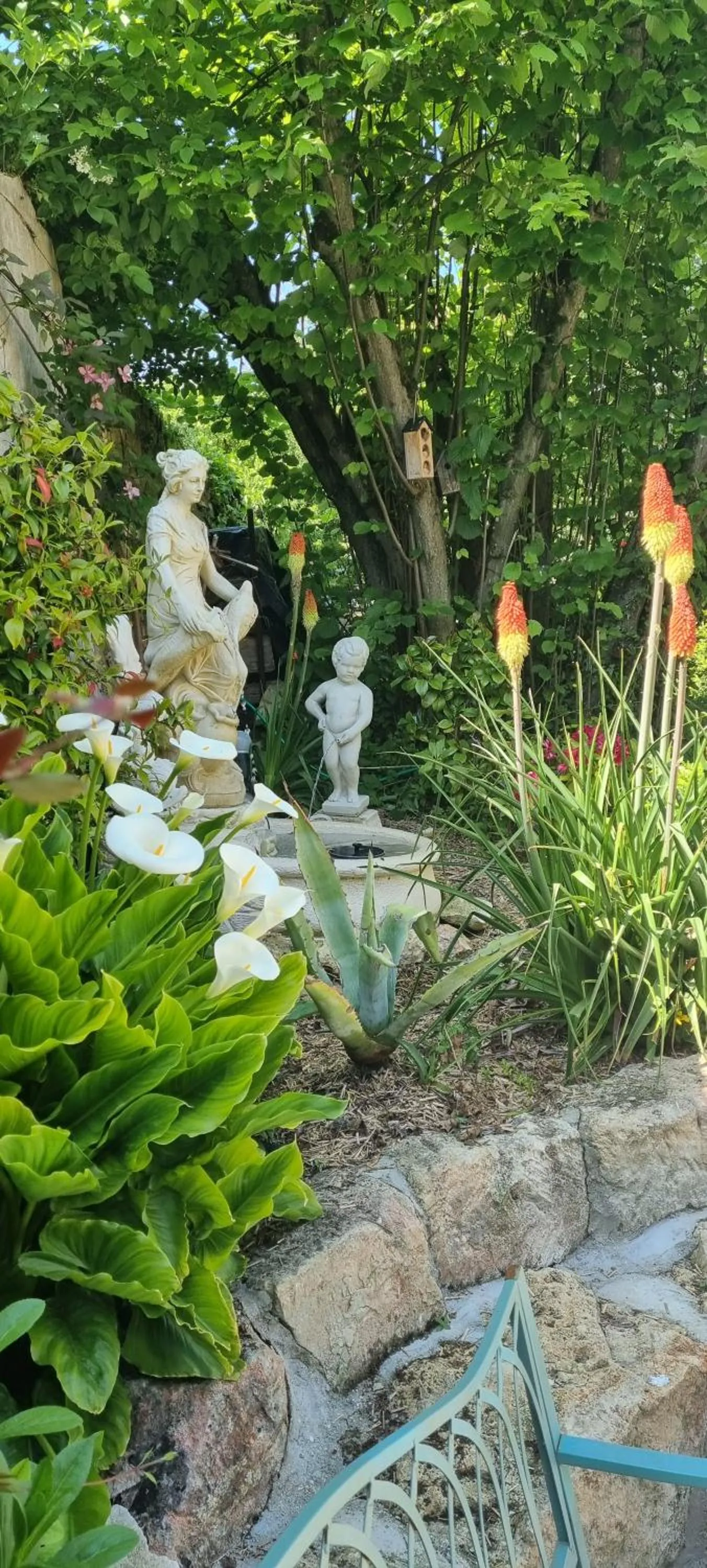 Spring in Les Glycines de Monchy- Chambres d'hôtes