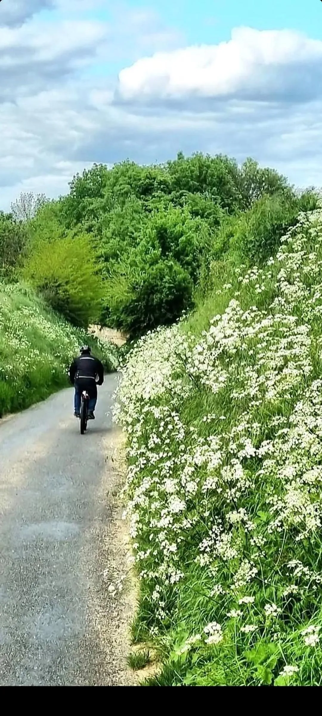 Property building in Les Glycines de Monchy- Chambres d'hôtes
