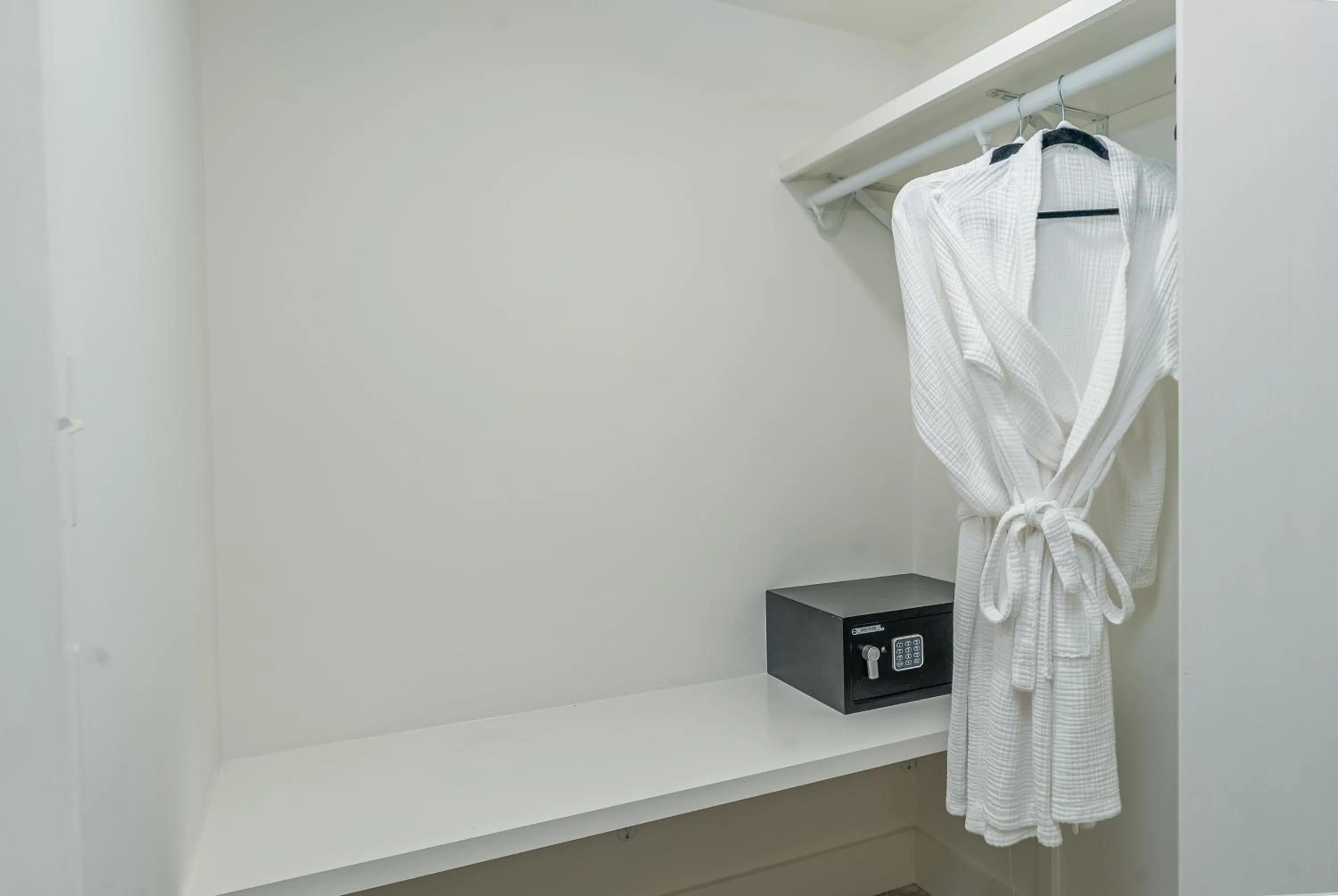 Garden in Bellwether House