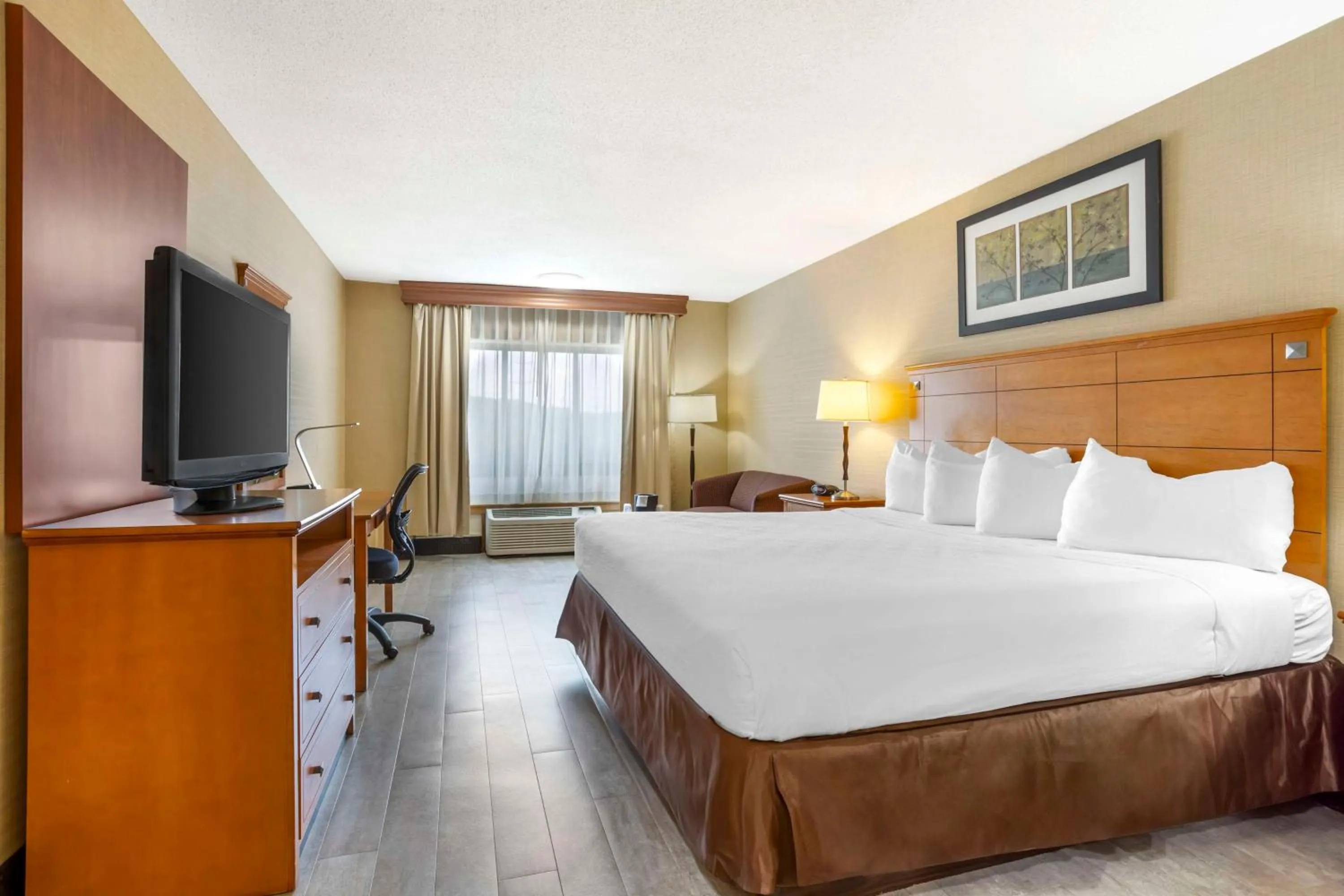 Bedroom, Bed in Best Western Danbury/Bethel