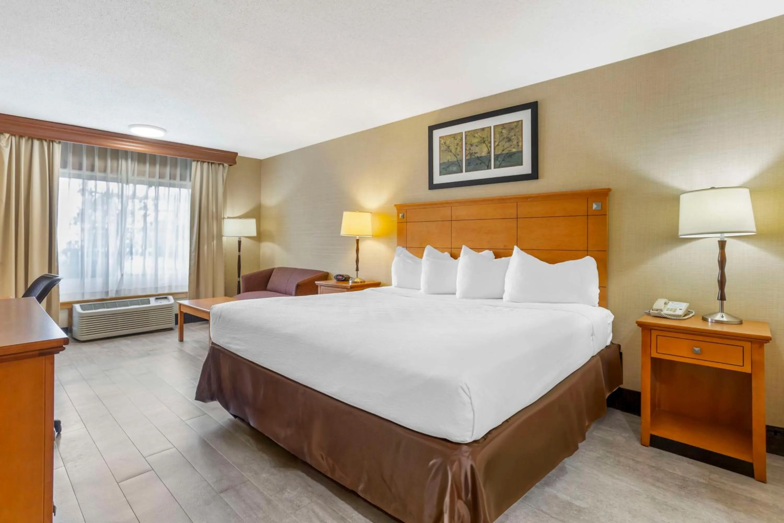 Bedroom, Bed in Best Western Danbury/Bethel