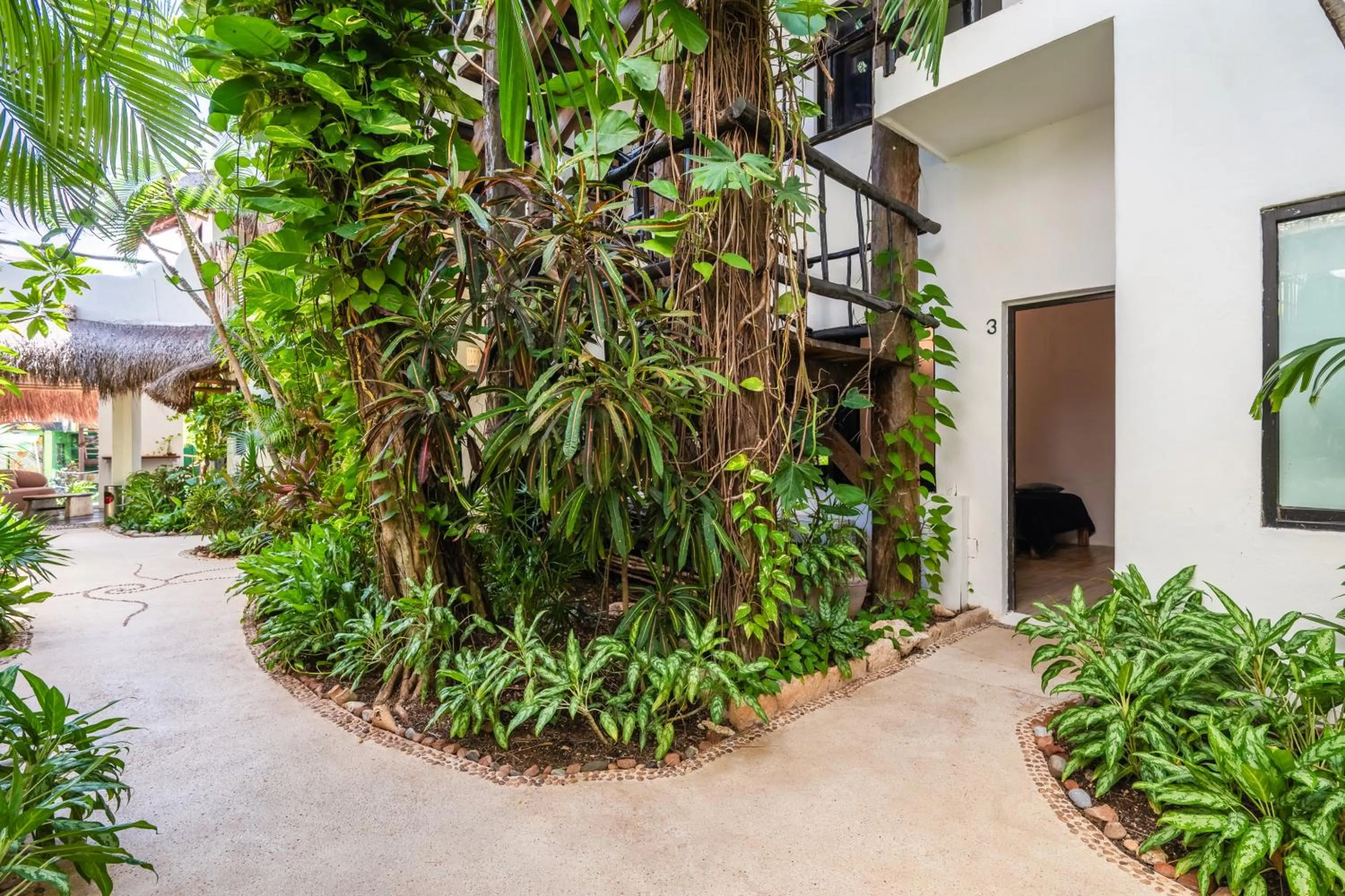 Garden in Kinbe Hotel Boutique