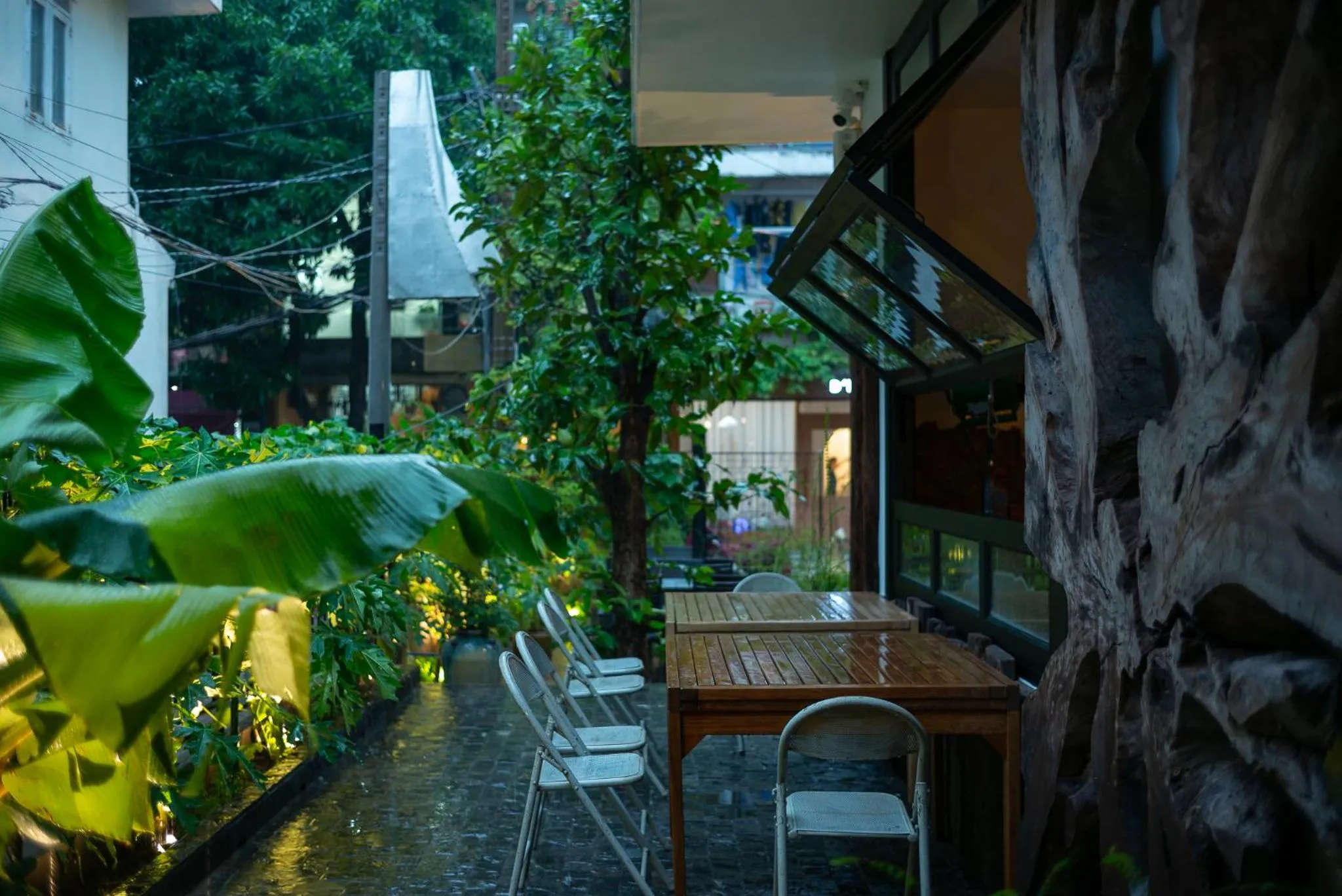 Restaurant/places to eat in Amanaki Thao Dien