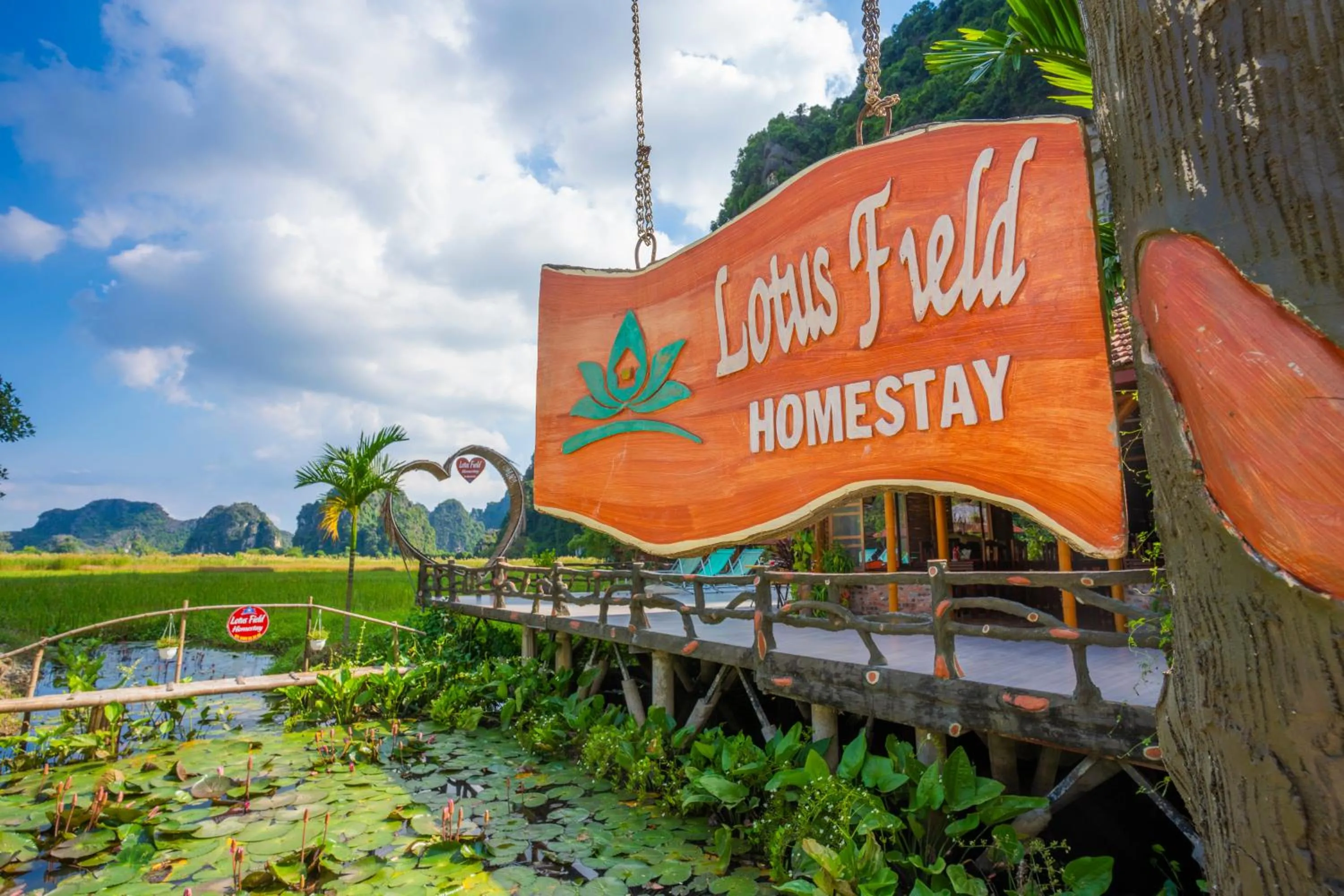 Natural landscape in Lotus Field Homestay