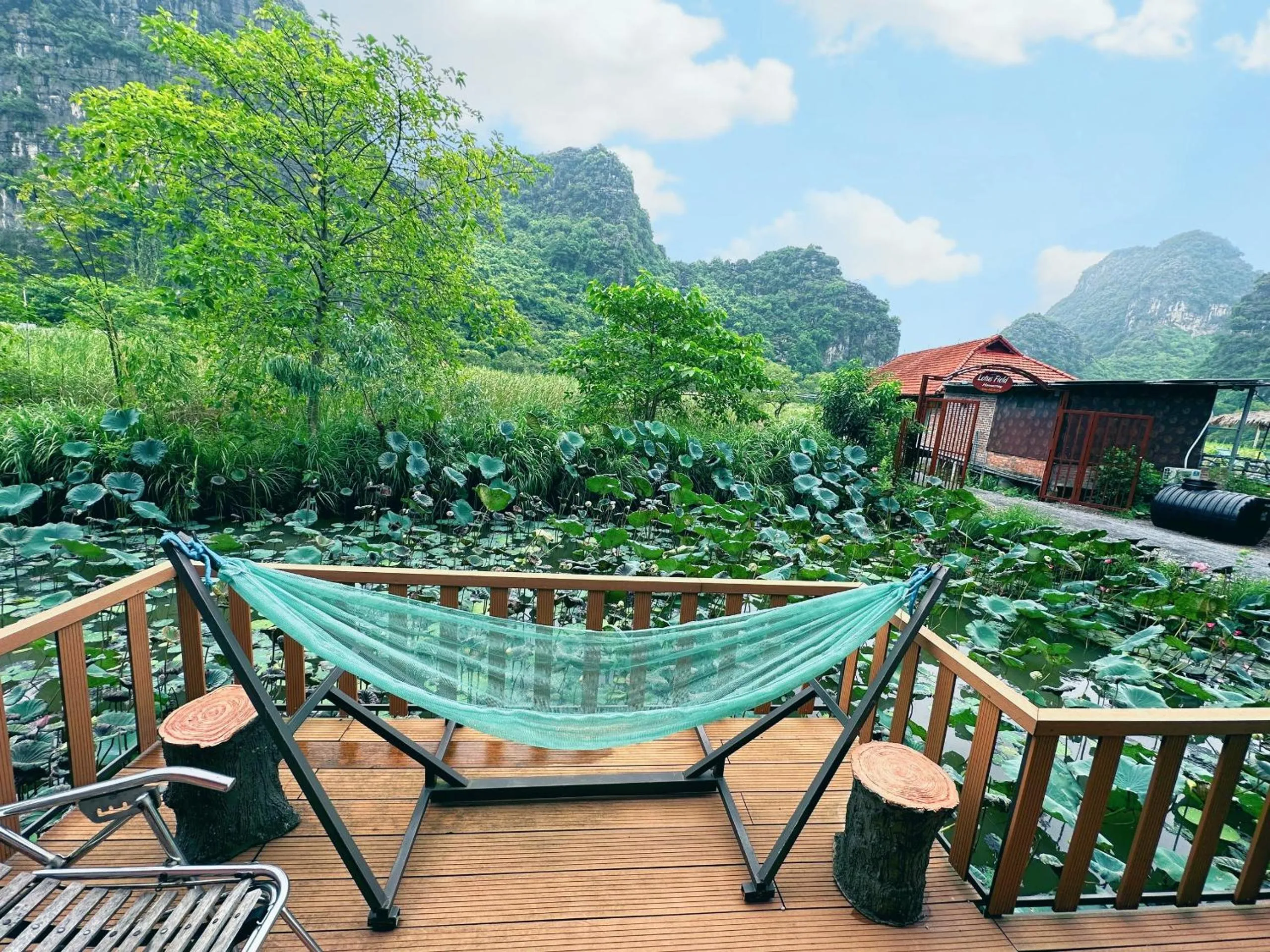 Patio in Lotus Field Homestay
