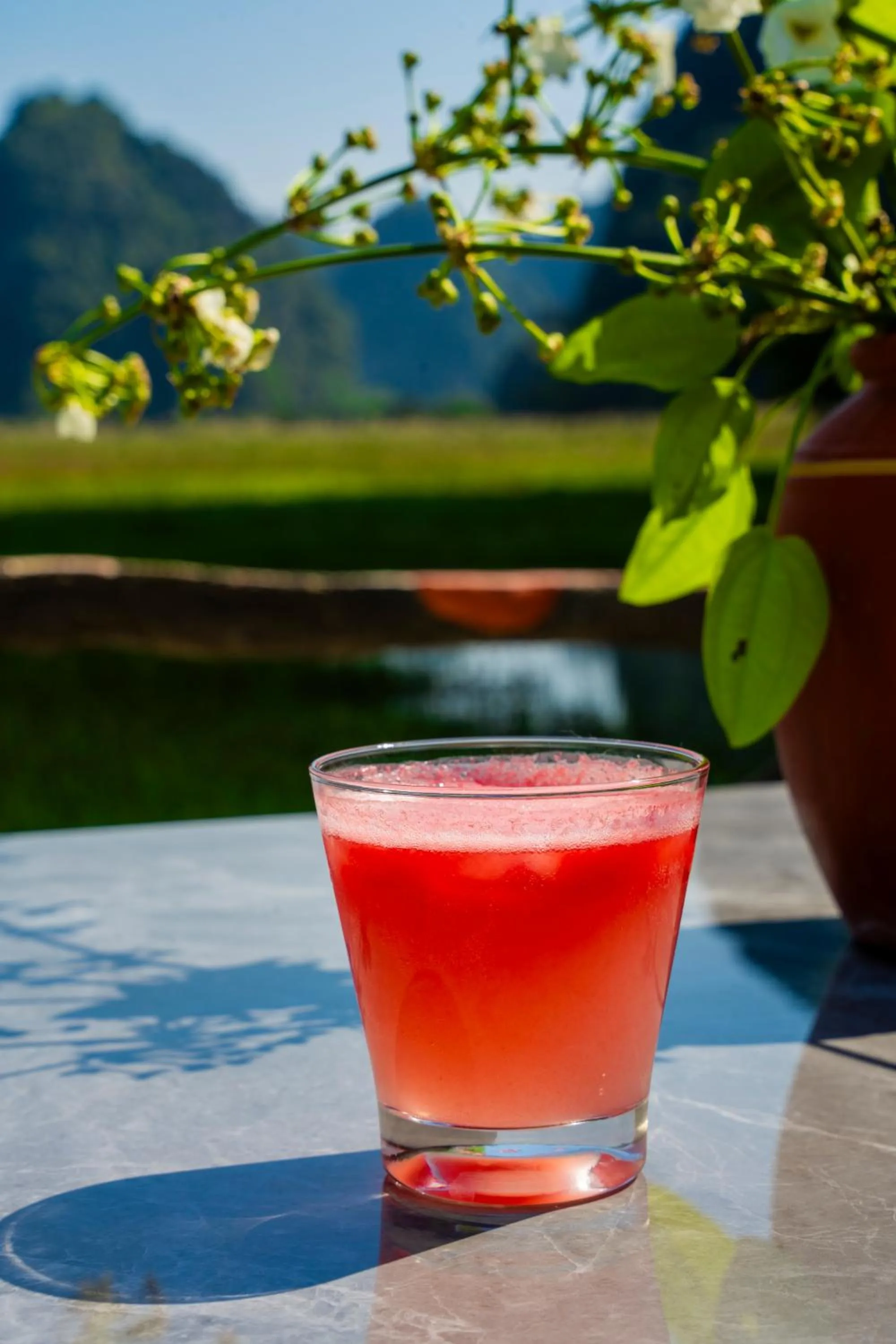 Restaurant/places to eat in Lotus Field Homestay