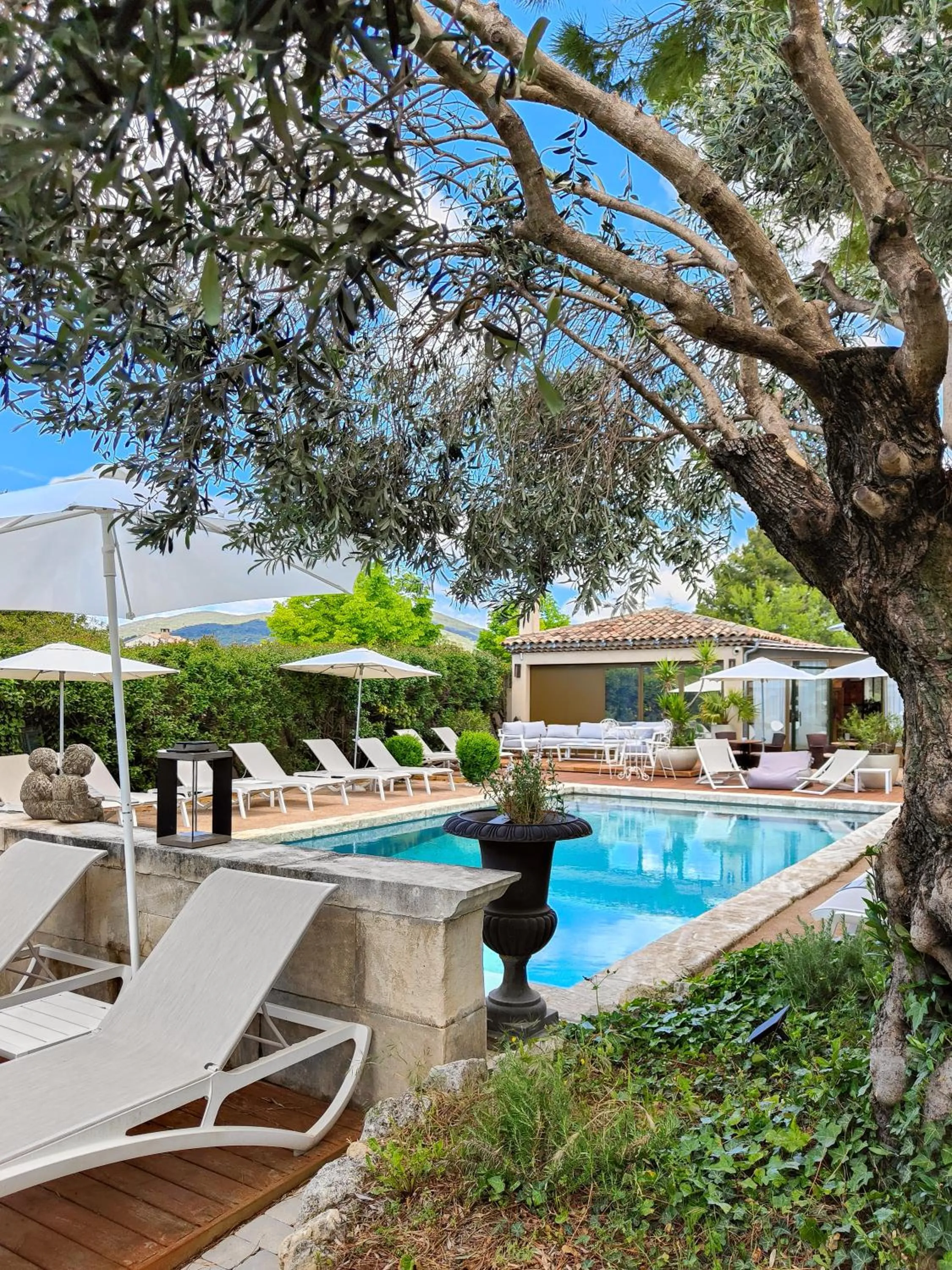 Natural landscape in Hotel Bastide & SPA - Villa de Lourmarin