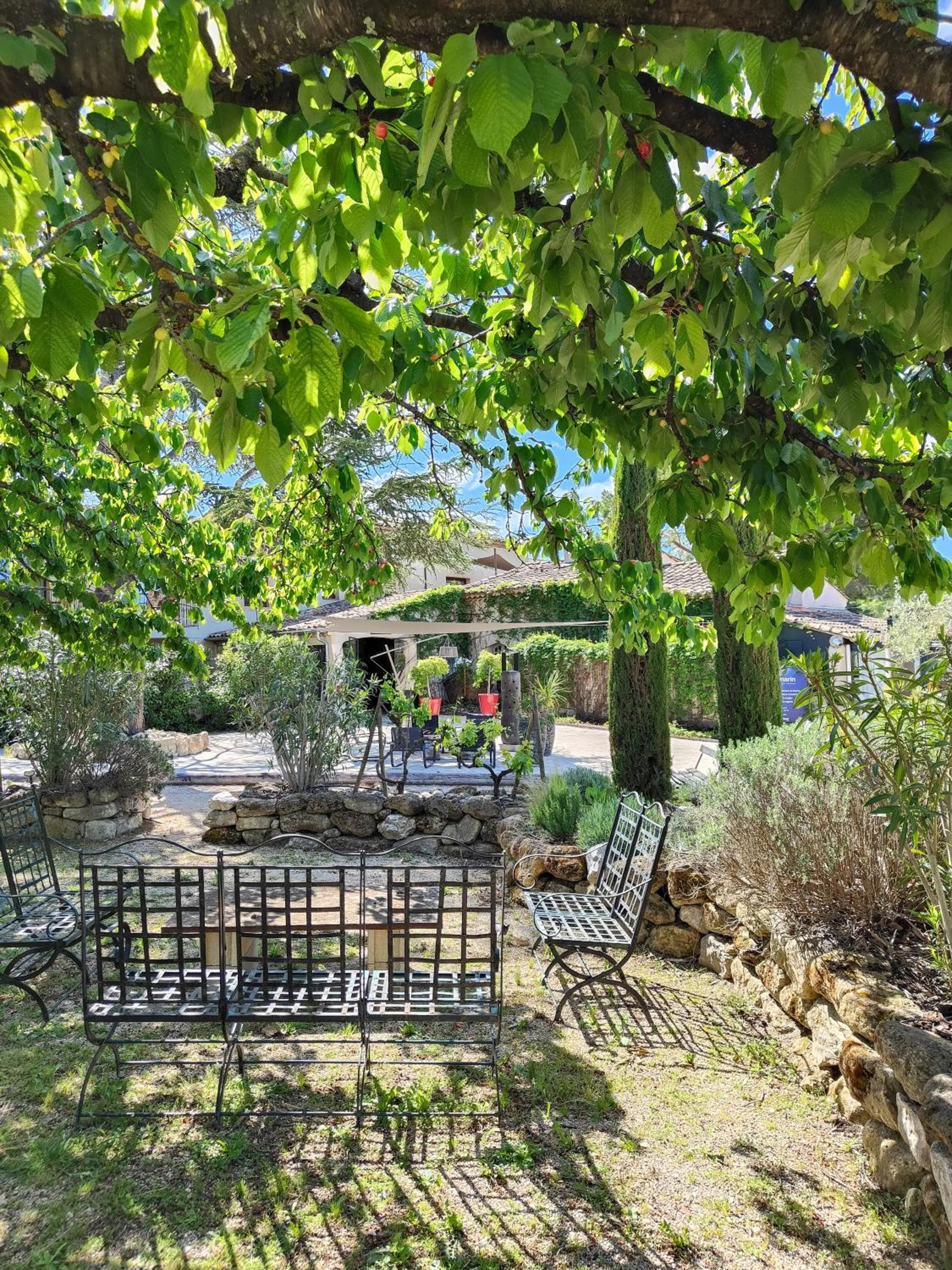Natural landscape in Hotel Bastide & SPA - Villa de Lourmarin