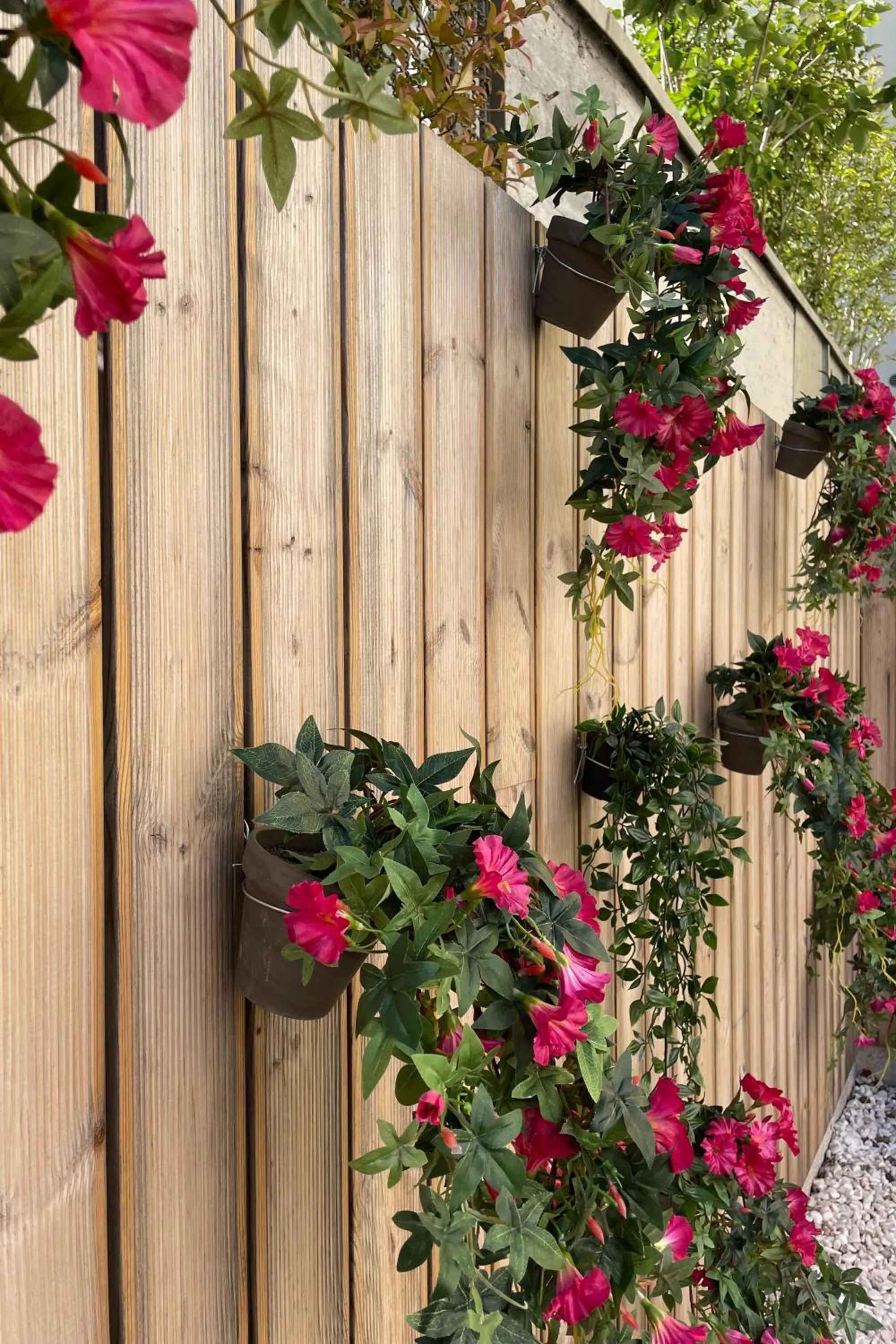 Garden in Casual Raízes Porto