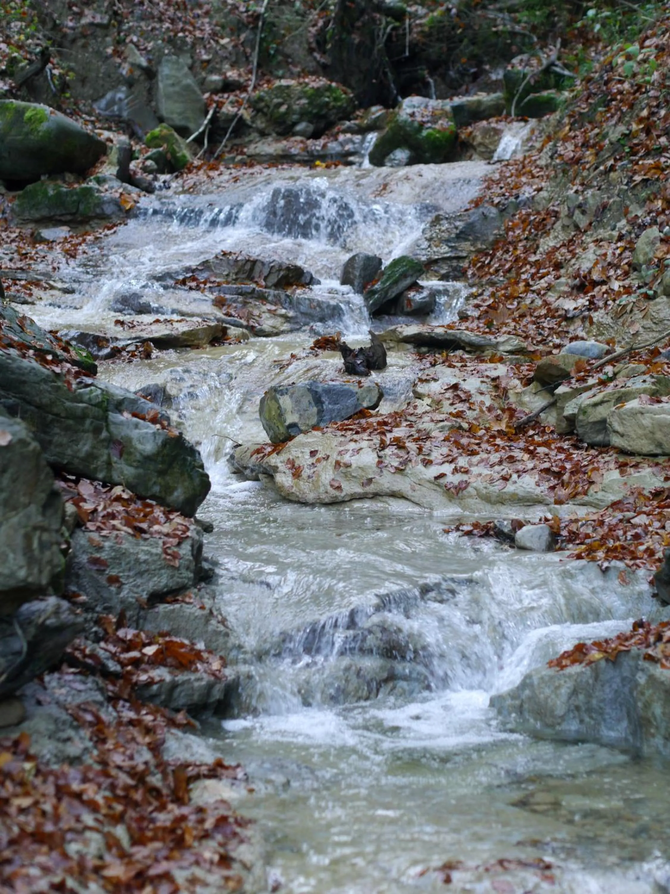 Natural landscape in Hotel Bergblick