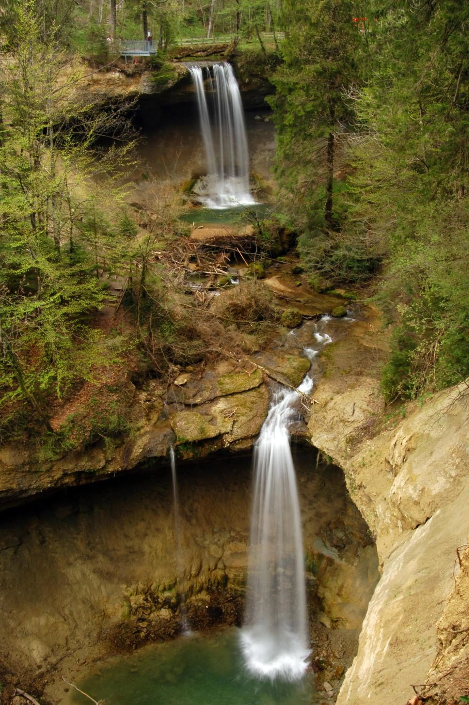 Natural landscape in Hotel Bergblick