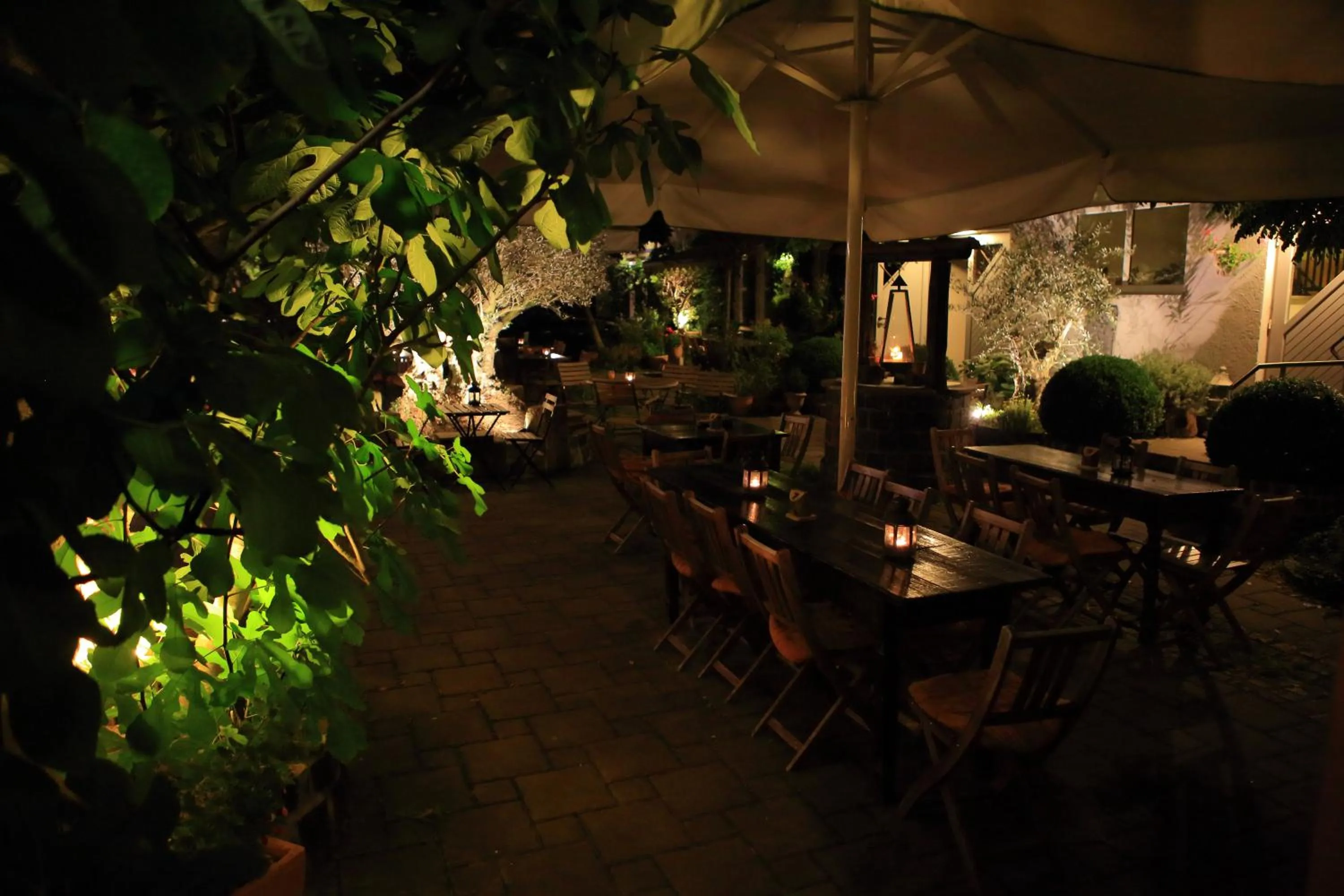 Restaurant/places to eat in Hotel Gasthof Grüner Wald