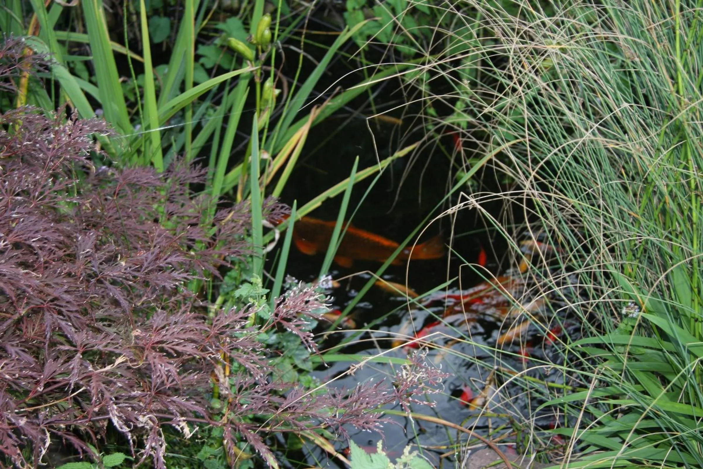 Other in Hotel Gasthof Grüner Wald