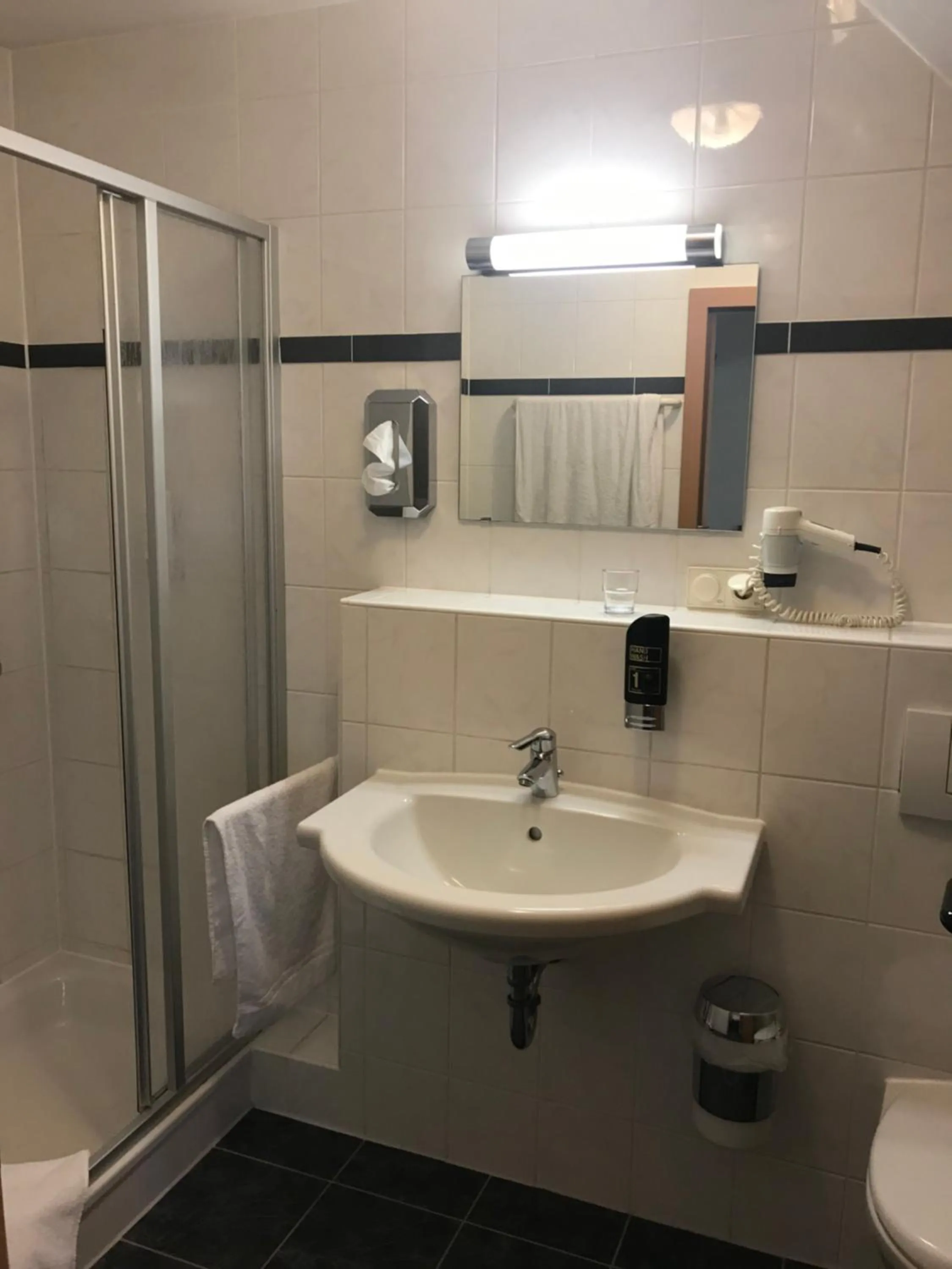 Shower in Hotel Gasthof Grüner Wald