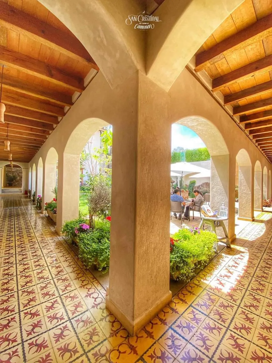 Garden in Hotel Junvay