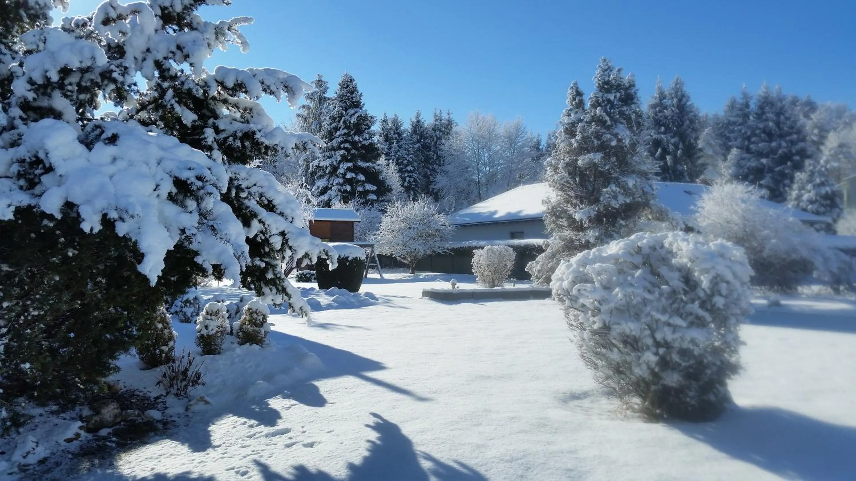 Garden in Hotel Villa Flora