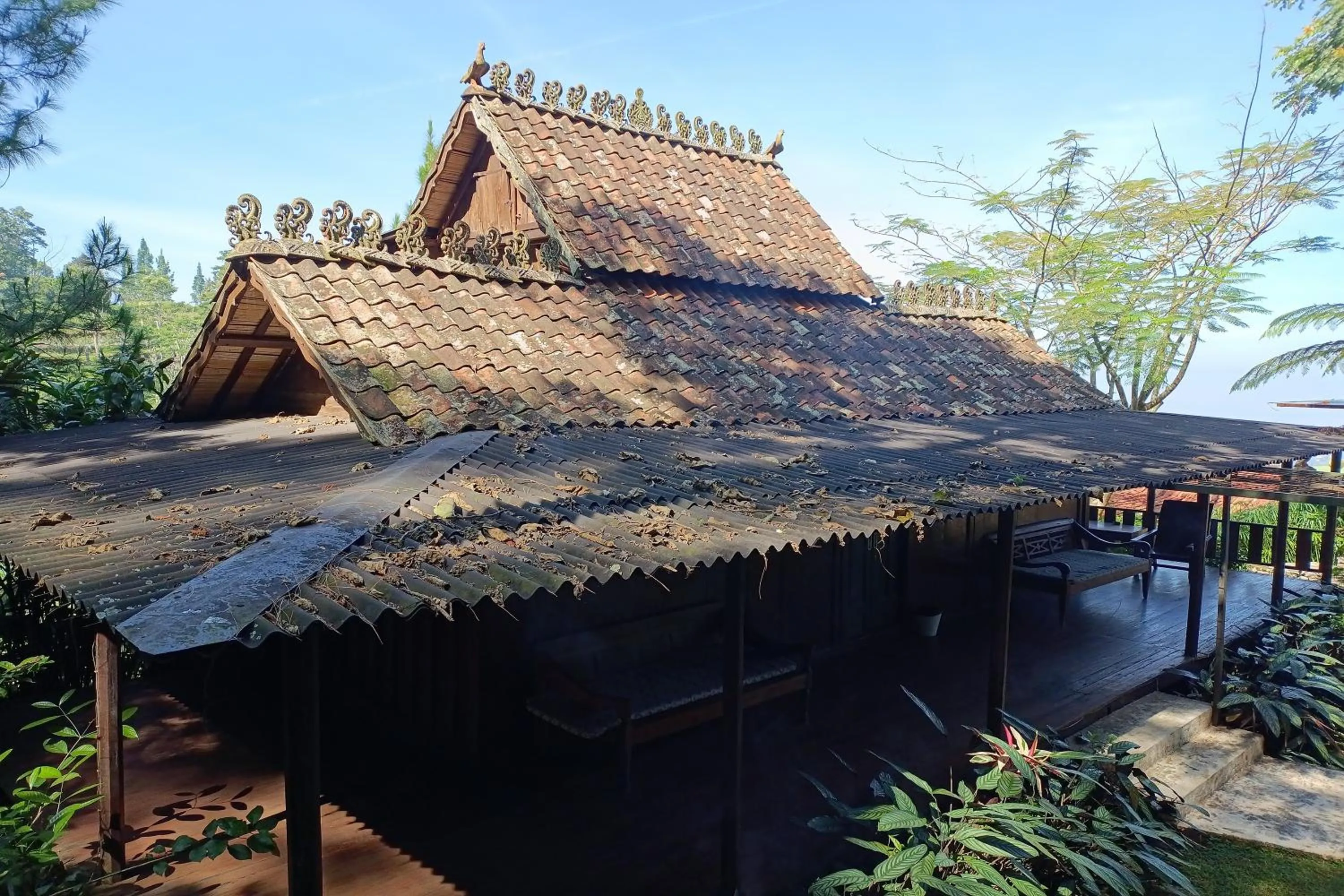 Property building in Mendulang by Belza