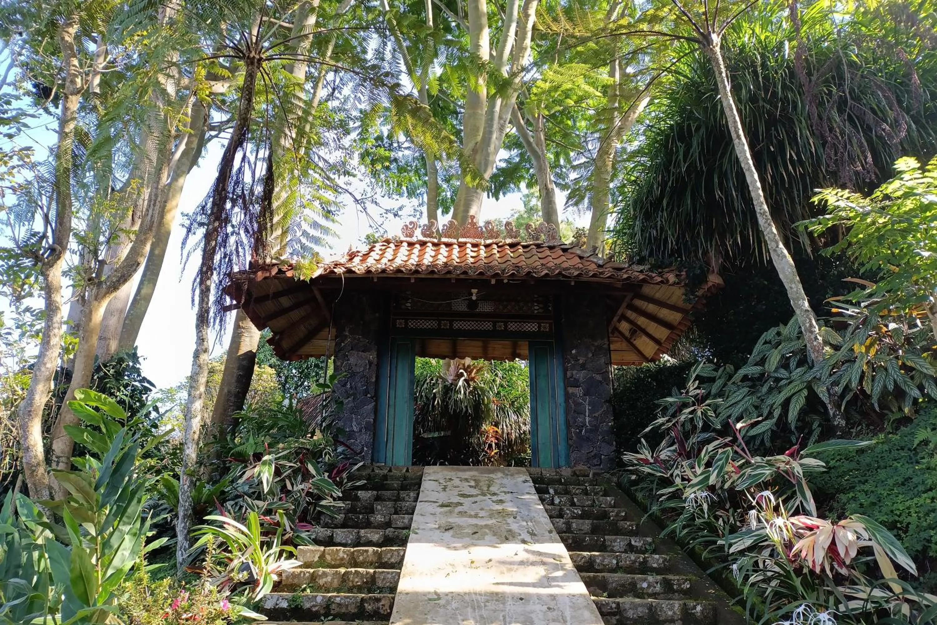 Garden in Mendulang by Belza