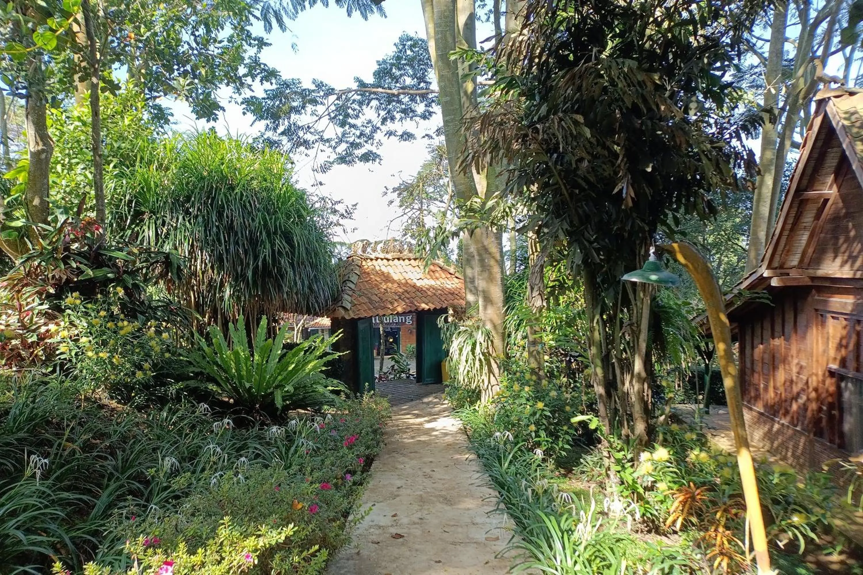 Property building in Mendulang by Belza