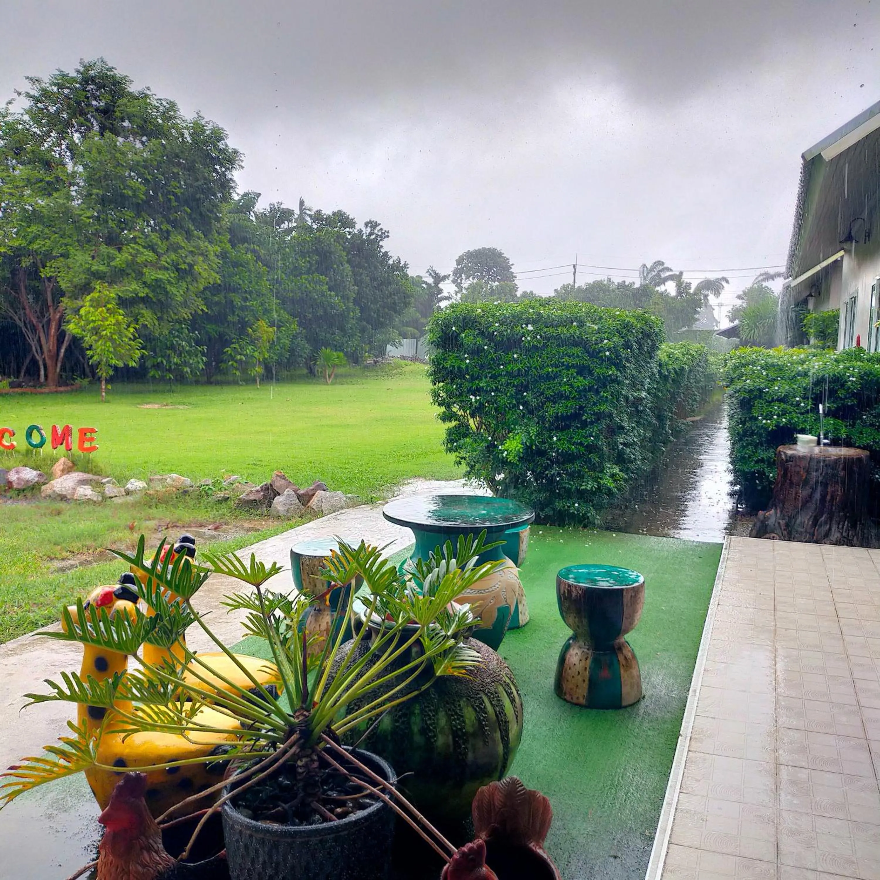Garden view in Davy Cottage Phuket