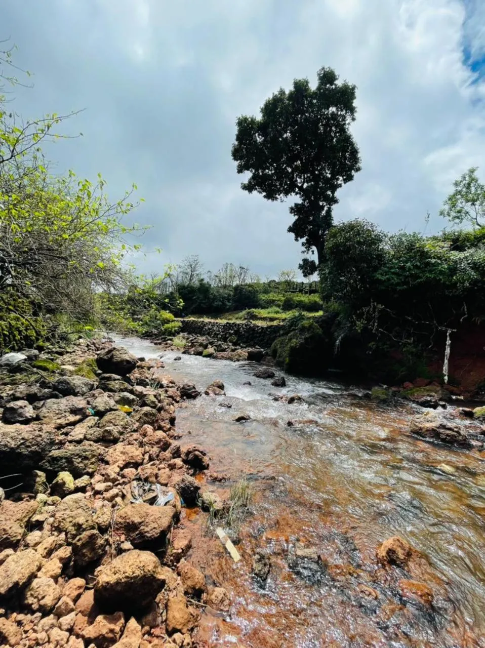 River view in Khushi Riverside Resort & Spa