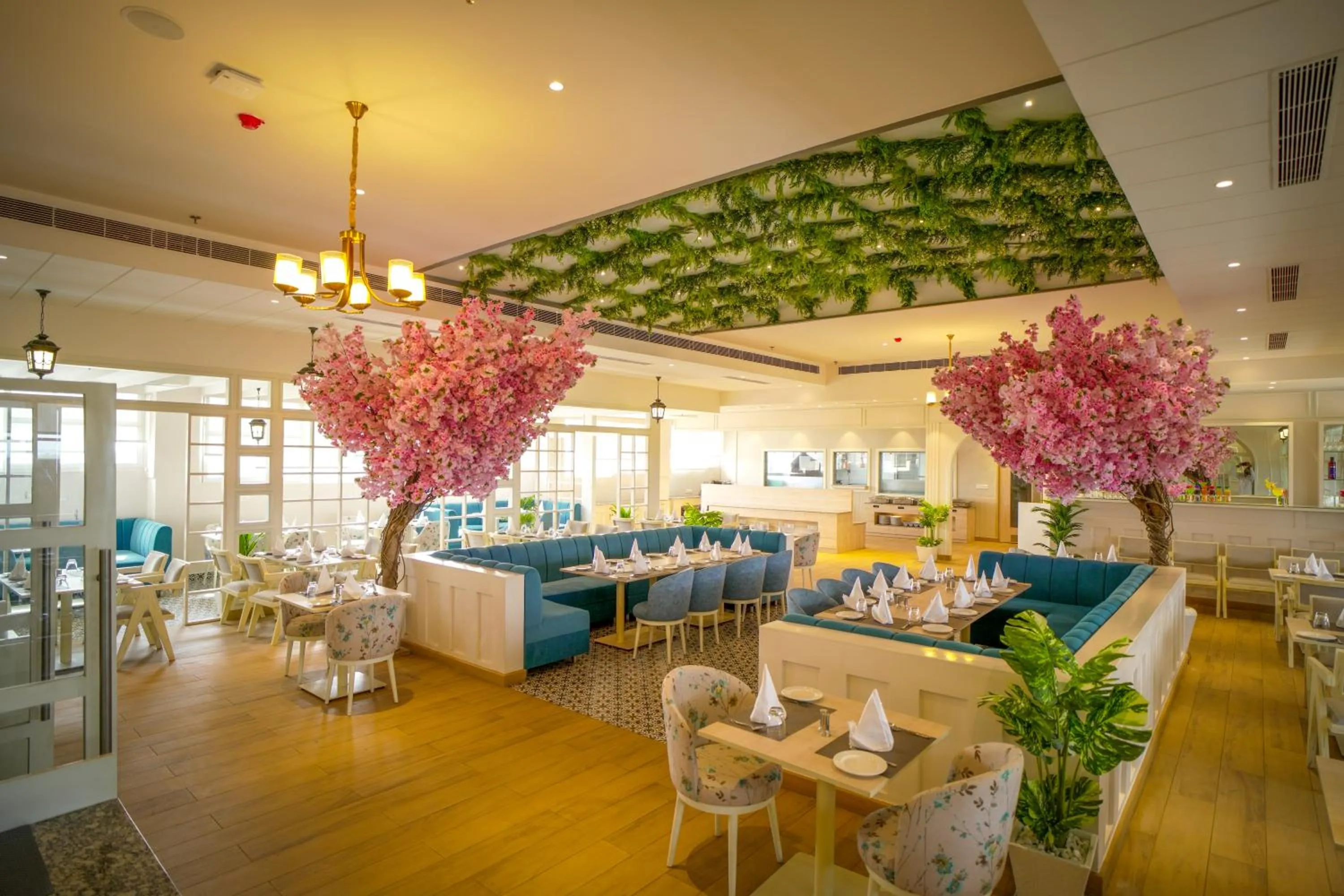 Restaurant/places to eat in Hotel Krinoscco