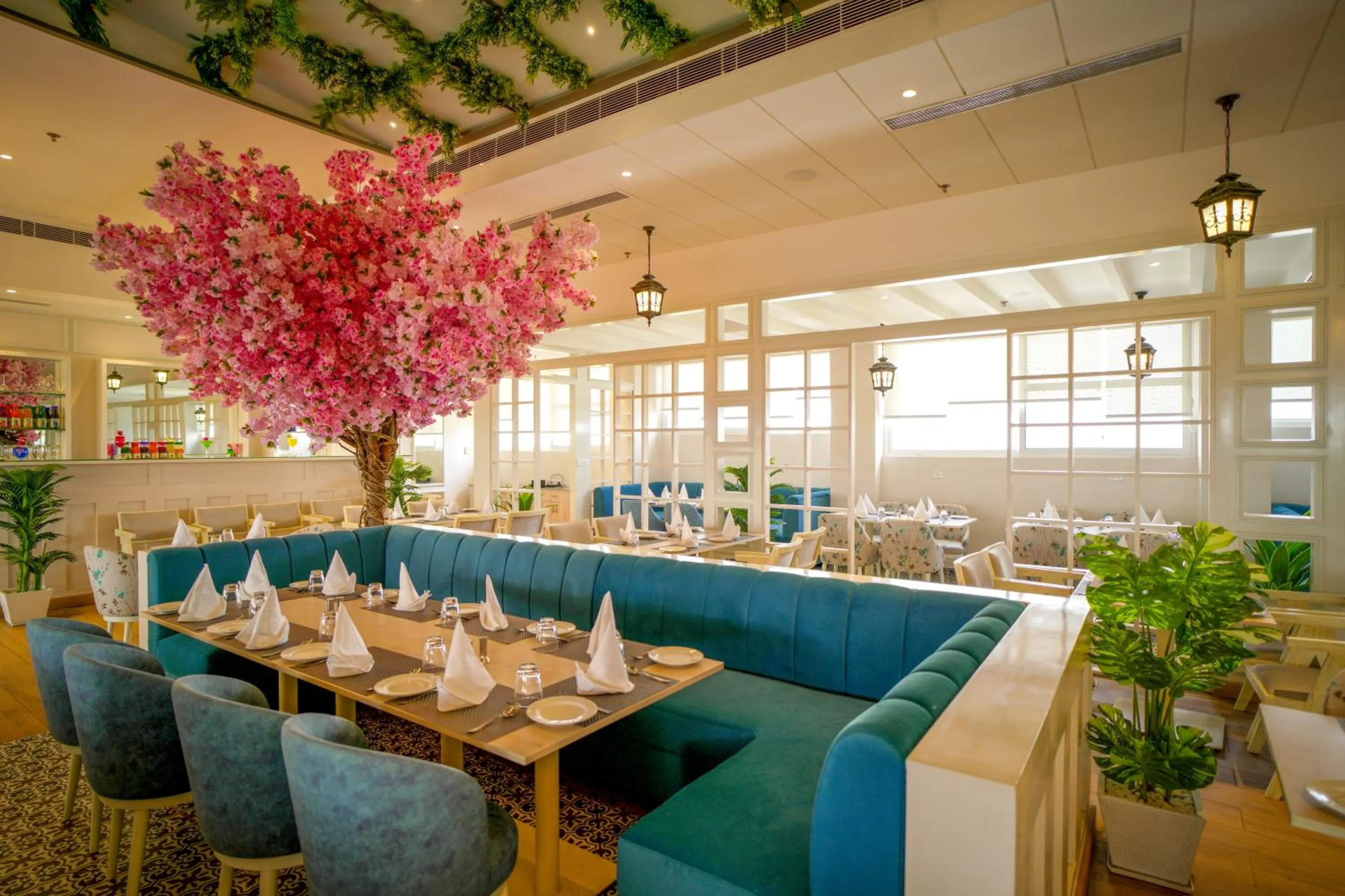 Restaurant/places to eat in Hotel Krinoscco