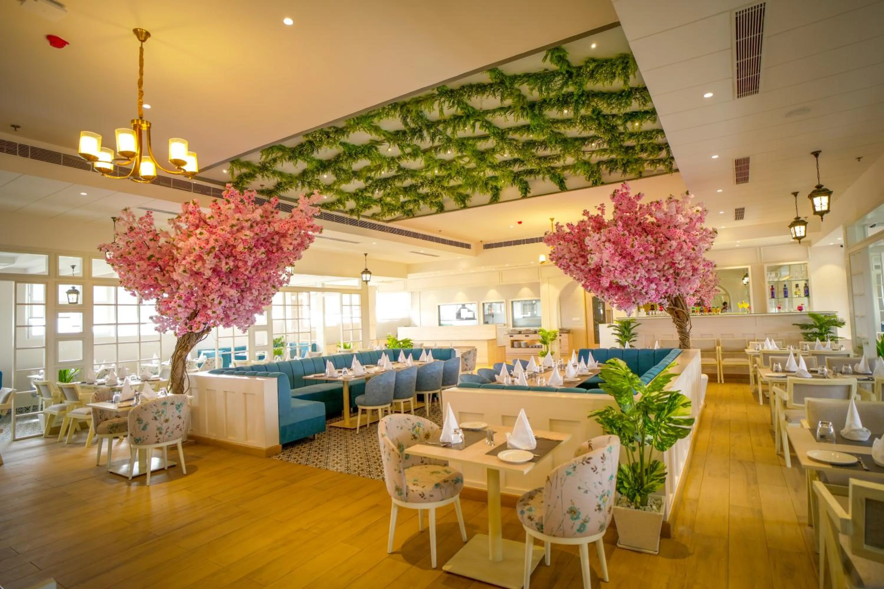 Restaurant/places to eat in Hotel Krinoscco