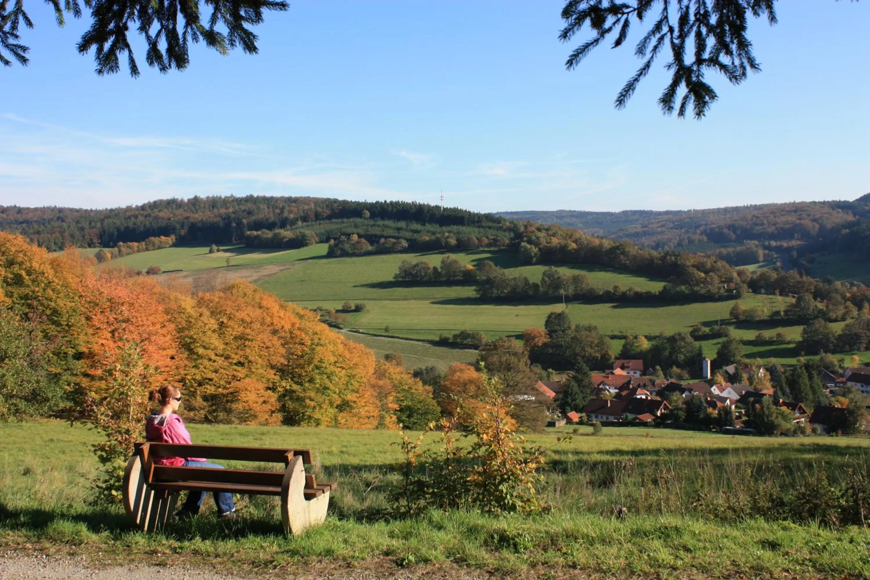 Hiking in Hotel Gasthof zum Biber