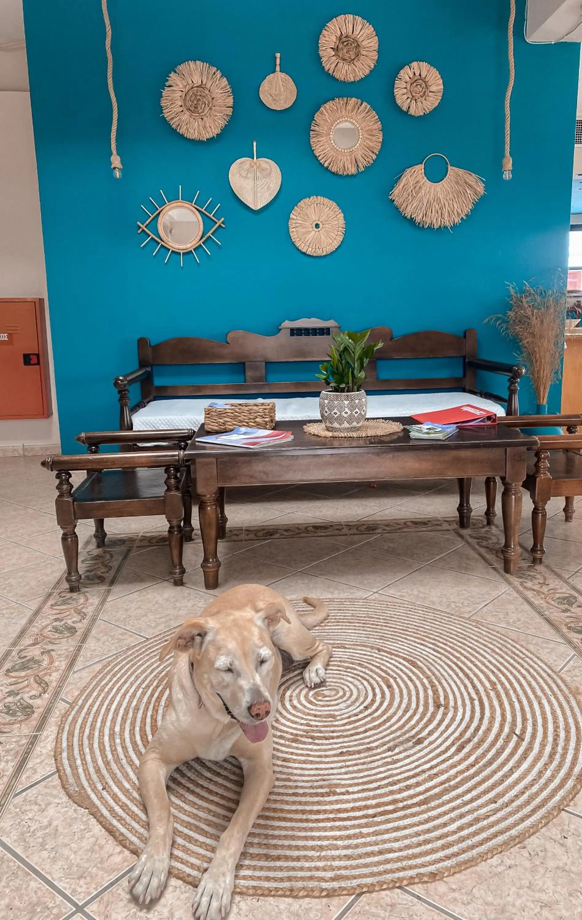 Pets in Nisea Hotel Samos