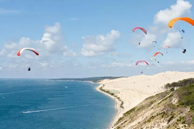 Natural landscape in La Cabane Bohème, Maison d'hôtes Bassin d'Arcachon