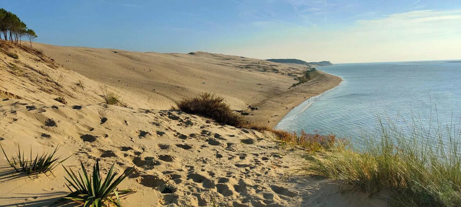 La Cabane Bohème, Maison d'hôtes Bassin d'Arcachon