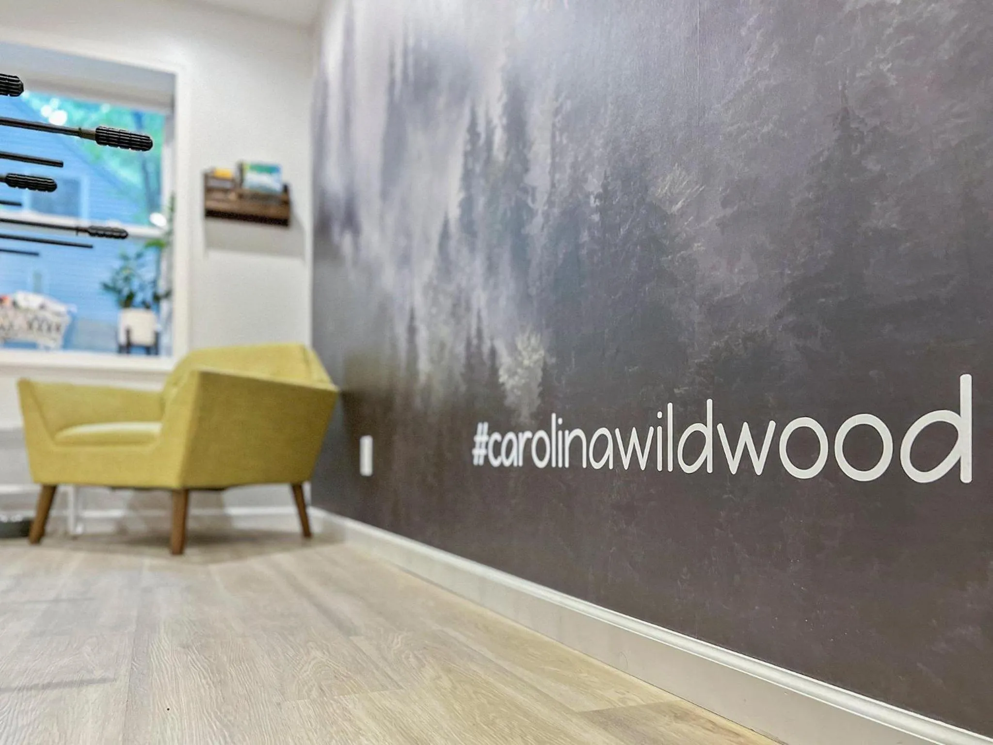 Near Biltmore, Hiking, Breweries W Game Room