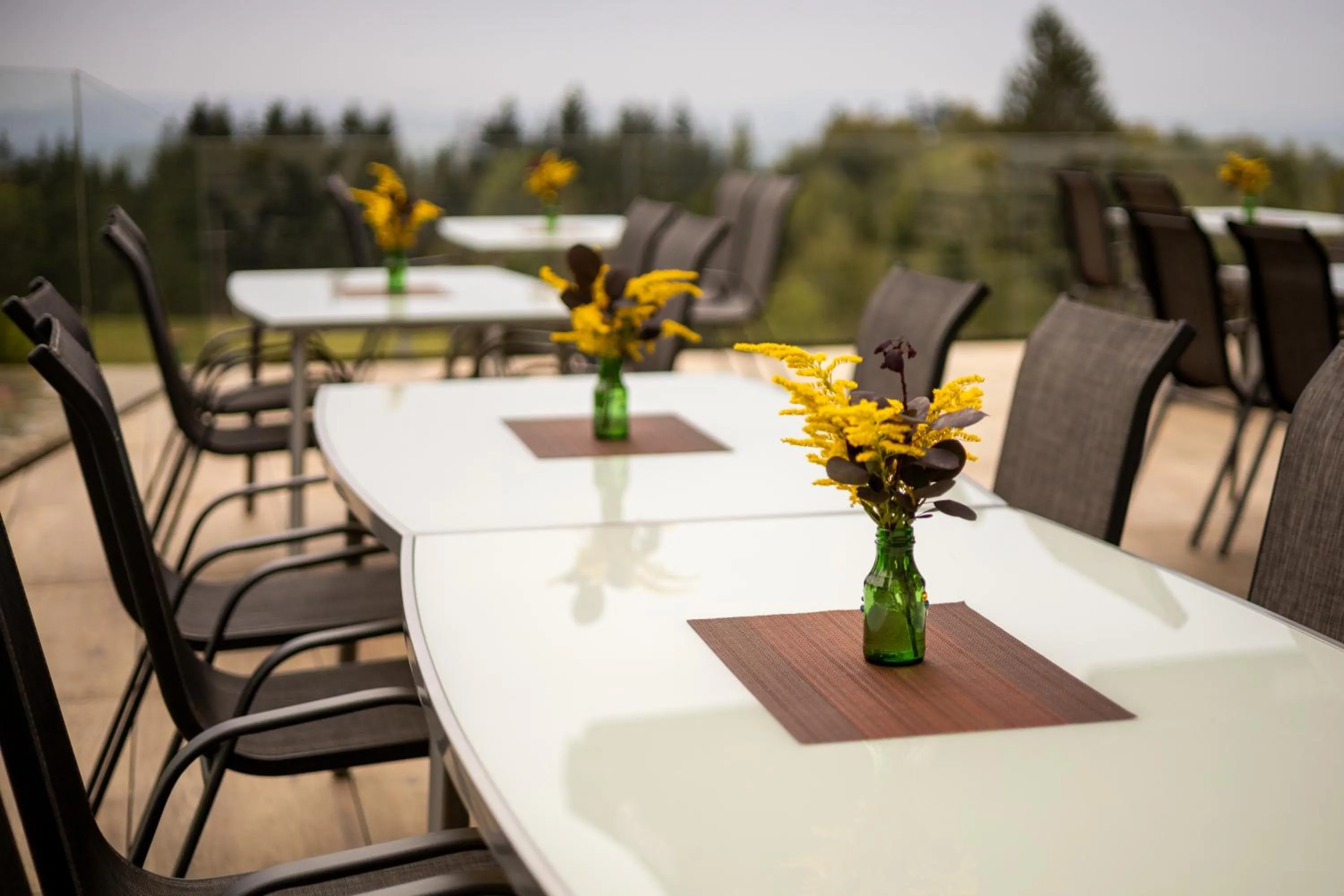 Balcony/Terrace in Gasthof Dreiländereck