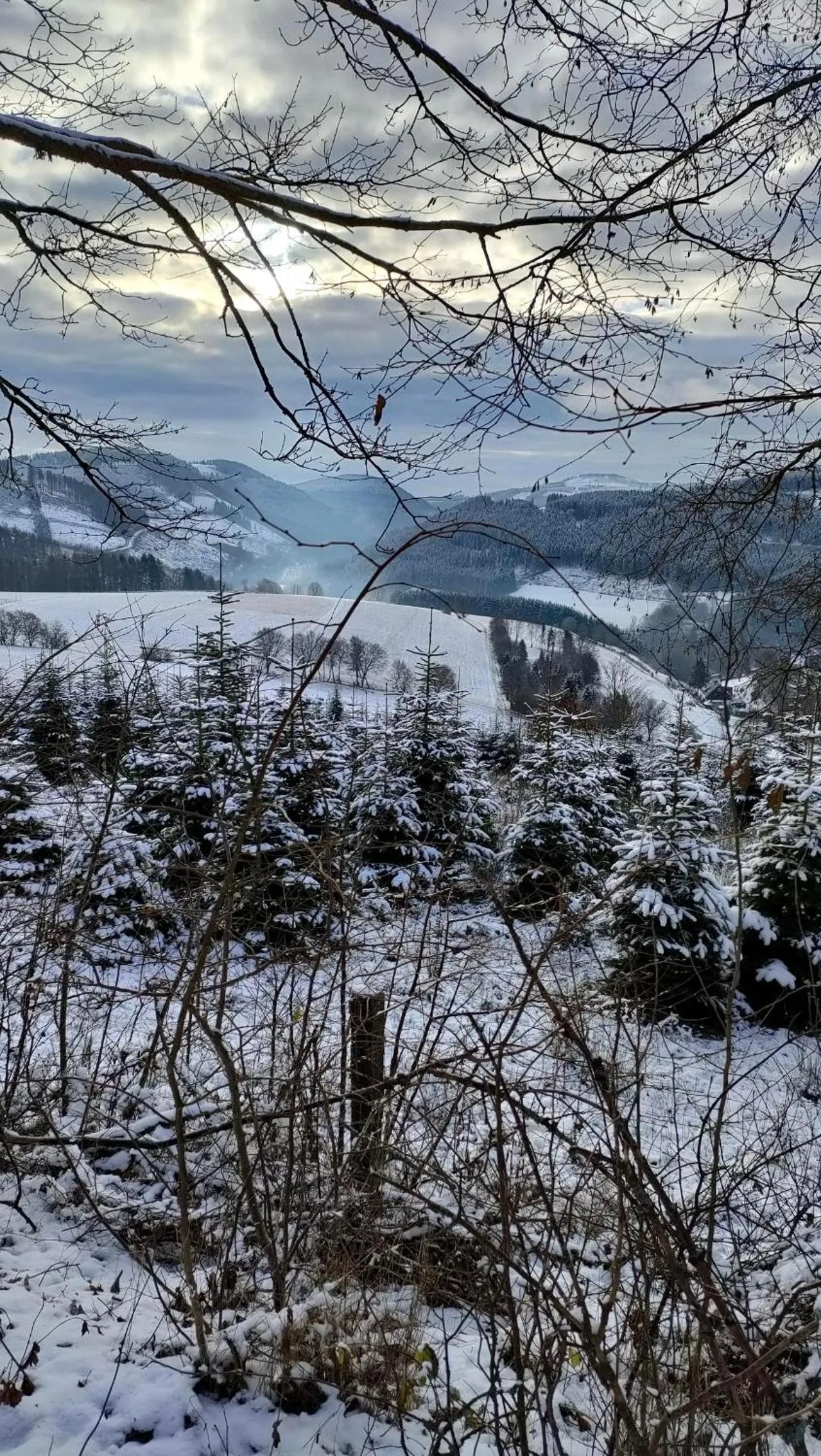Natural landscape in Pension Sauerland