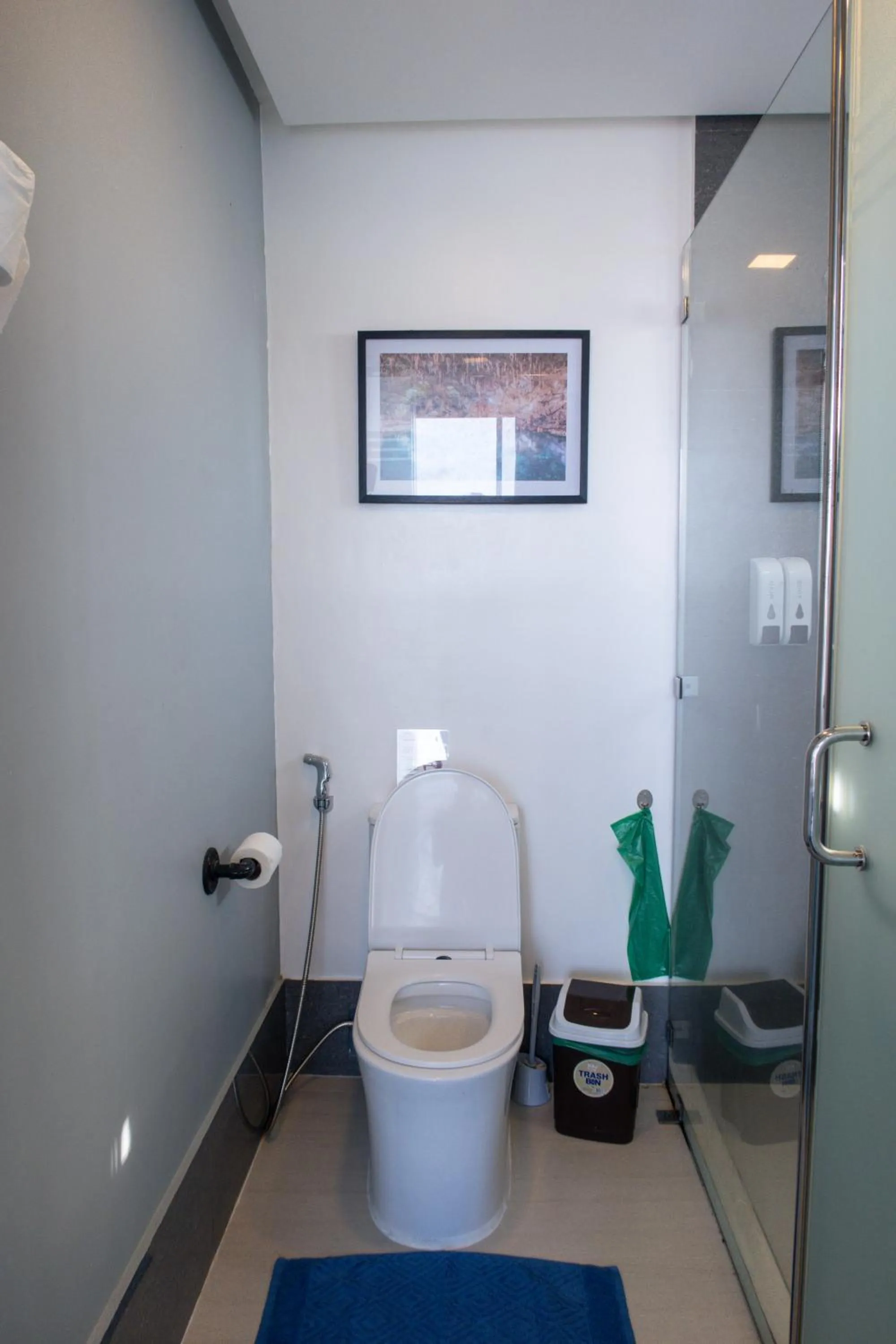 Toilet in AV Suites